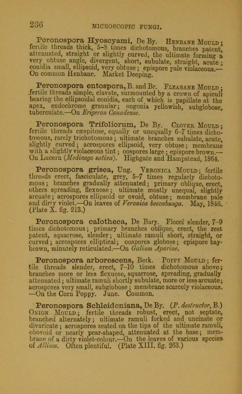 Poronospora Hyoscyami, De By. Henbane Mould ; icriilc threads tbick^ times dichotomous, branches patent attenuated, straight or slightly curved, the ultimate forming a very obtuse angle, divergent, short, subulate, straight, acute; conidia small, ellipsoid, very obtuse; epispore pale violaceous.— On common Henbane. Market Deeping. Peronospora entospora, B. and Br. Fleabane Mould • feriije threads simple, clavate, surmounted by a crown of apicull bearing the ellipsoidal conidia, each of which is papillate at the apex, endochrome granular; oogonia yellowish, subglobose, tuberculate.—On Erigeron Canadense. Peronospora Trifoliormn, De By. Clover Mould ; fertile threads emspitose, equally or unequally 6-7 times dicho- tomous, rarely trichotomous; ultimate branches subulate, acute, slightly curved; acrospores ellipsoid, very obtuse; membrane with a slightly violaceous tint; oospores large; epispore brown.— On Lucern {Medicago sativa). Highgate and Hampstead, 1864. Peronospora grisea, Ung. Veronica Mould; fertile threads erect, fasciculate, grey, 5-7 times regularly dichoto- mous ; branches gradually attenuated; primary oblique, erect, others spreading, flexnosc ; ultimate mostly unequal, slightly arcuate; acrospores ellipsoid or ovoid, obtuse; membrane pie and dirty violet.—On leaves of Veronica beccabunga. May, 1846. ' (Plate X. fig. 213.) Poronospora calotheca, De Bary. Flocci slender, 7-9 times dichotomous; primary branches oblique, erect, the rest patent, squarrose, slender; ultimate ramuli short, straight, or curved; acrospores elliptical; oospores globose; epispore bay- brown, minutely reticulated.—On Galium. Jparine. Peronospora arborescens. Berk. Poppy Mould; fer- tile threads slender, erect, 7-10 times dichotomous above; branches more or less flexuose, squarrose, spreading, gradually attenuated; ultimate ramuli shortly subulate, more or less arcuate; acrospores very small, subglobose; membrane scarcely violaceous. —On the Corn Poppy. June. Common. Peronospora Sehleideniana, DeBy. (P. destructor,'R.) Onion Mould; fertile threads robust, erect, not septate, branched alternately; ultimate ramuli forked and uncinate or divaricate; acrospores seated on the tips of the ultimate ramuli, obovoid or nearly pear-shaped, attenuated at the base; mem- brane of a dirty violet-colour.—On the leaves of various species- of Allium. Often plentiful. (Plate XIII. fig. 263.)