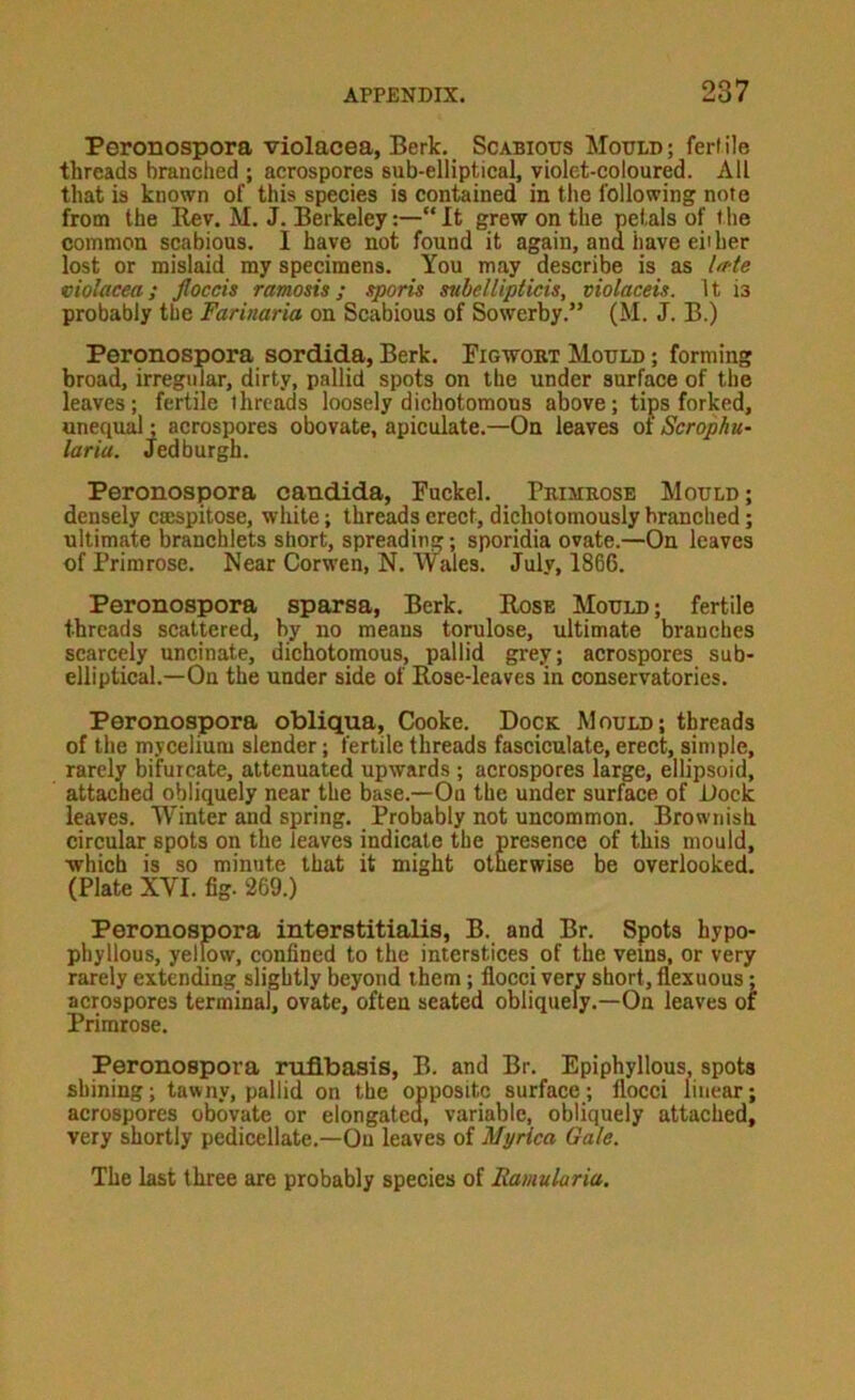 Peronospora violacea, Berk. Scabious Mould; fertile threads branched ; acrospores sub-elliptical, violet-coloured. All that is known of this species is contained in the following note from the Rev. M. J. Berkeley:—“ It grew on the petals of I he common scabious. I have not found it again, ana have eii her lost or mislaid my specimens. You may describe is as IHe violacea; floods ramosis; sporis subelUpticis, violaceis. It is probably the Farinaria on Scabious of Sowerby.” (M. J. B.) Peronospora sordida, Berk. Pigwort Mould ; forming broad, irregular, dirty, pallid spots on the under surface of the leaves; fertile threads loosely dichotomous above; tips forked, uneqmu • acrospores obovate, apiculate.—On leaves of Scrophu- laria. Jedburgh. Peronospora Candida, Puckel. Primrose Mould; densely caapitose, white; threads erect, dichotomously branched; ultimate branchlets short, spreading; sporidia ovate.—On leaves of Primrose. Near Corwen, N. Wales. July, 1866. Peronospora sparsa, Berk. Rose Mould; fertile threads scattered, by no means torulose, ultimate branches scarcely uncinate, dichotomous, pallid grey; acrospores sub- elliptical.—-On the under side of Rose-leaves in conservatories. Peronospora obliqua, Cooke. DopK Mould; threads of the mycelium slender; fertile threads fasciculate, erect, simple, rarely bifurcate, attenuated upwards ; acrospores large, ellipsoid, attached obliquely near the base.—On the under surface of bock leaves. AVinter and spring. Probably not uncommon. Brownish circular spots on the leaves indicate the presence of this mould, ■which is so minute that it might otherwise be overlooked. (Plate XVI. fig. 269.) Peronospora interstitialis, B. and Br. Spots hypo- phyllous, yellow, confined to the interstices of the veins, or very rarely extending slightly beyond them; flocci very short, flexuous; acrospores terminal, ovate, often seated obliquely.—On leaves of Primrose. Peronospora ruflbasis, B. and Br. Epiphyllous. spots shining; tawny, pallid on the opposite surface; flocci linear; acrospores obovate or elongated, variable, obliquely attached, very shortly pedicellate.—On leaves of Myrica Gale. The last three are probably species of Ramularia.