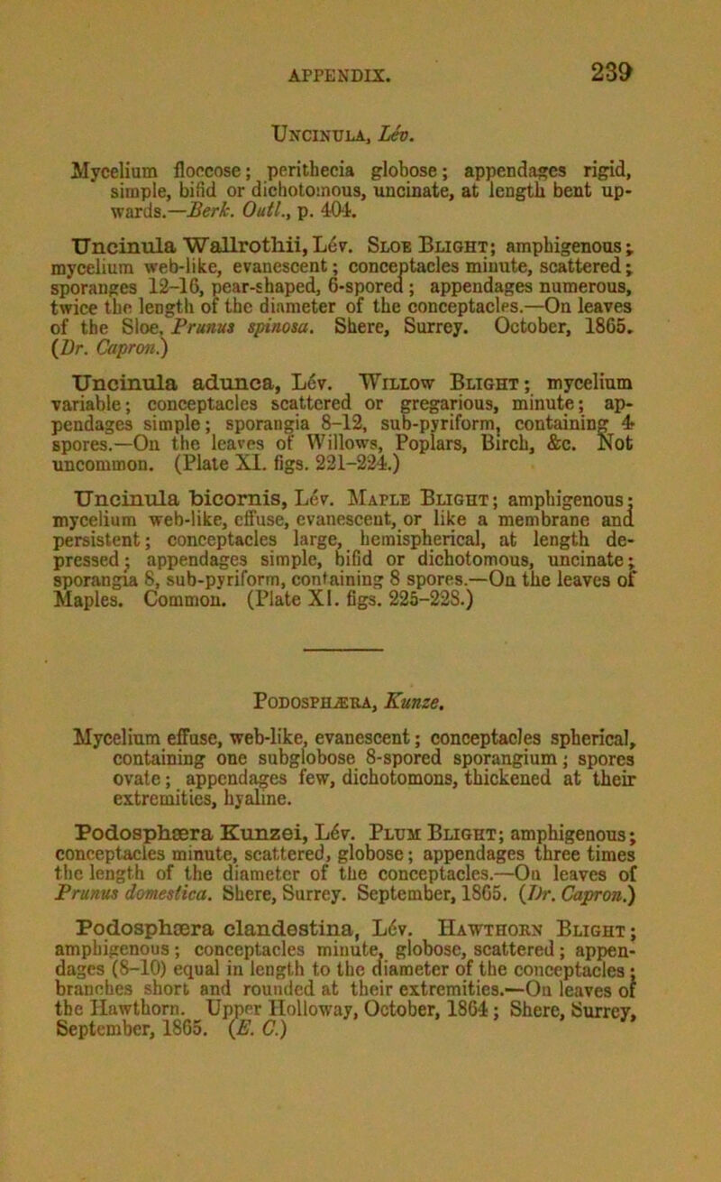 Uncinula. Lev. Mycelium floccose; perithecia globose; appendages rigid, simple, biSd or dicliotomous, uncinate, at length bent up- wards.—Berk. Outl., p. 404, Uncinula Wallrothii, Sloe Blight; ampbigenous; mycelium web-like, evanescent; conceptacles minute, scattered; sporanges 12-16, pear-shaped, 6-spored ; appendages numerous, twice the length of the diameter of the conceptacles.—On leaves of the Sloe, Brums spinosa. Shere, Surrey. October, 1865. {Dr. Capron.) Uncinula adunea, L6v. Willow Blight; mycelium variable; conceptacles scattered or gregarious, minute; ap- pendages simple; sporangia 8-12, sub-pyriform, containing 4r spores.—On the leaves of Willows, Poplars, Birch, &c. Not uncommon. (Plate XI. figs. 221-224.) Uncinula bicomis, Lev. !Maple Blight; ampbigenous: mycelium web-like, effuse, evanescent, or like a membrane and persistent; conceptaeles large, hemispherical, at length de- pressed; appendages simple, bifid or dichotomous, uncinate; sporangia 8, sub-pyriform, containing 8 spores.—On the leaves of Maples. Common. (Plate XI. figs. 225-228.) PoDOsPH.$KA, Kunze, Mycelium effuse, web-like, evanescent; conceptacles spherical, containing one subglobose 8-spored sporangium; spores ovate; appendages few, dichotomons, thickened at their extremities, hyaline. Podosphsera Eunzei, L6v. Plum Blight; ampbigenous; conceptacles minute, scattered, globose; appendages three times the length of the diameter of the conceptacles.—On leaves of Brunus domestica. Shere, Surrey. September, 1865. {Dr. Capron^ Podosphtera clandestina, L6v. Hawthorn Blight; ampbigenous; conceptacles minute, globose, scattered; appen- dages (8-10) equal in length to the diameter of the conceptacles; branches short and rounded at their extremities.—On leaves of the Hawthorn. Upper Holloway, October, 1864; Shere, Surrey. September, 1865. {E. C)