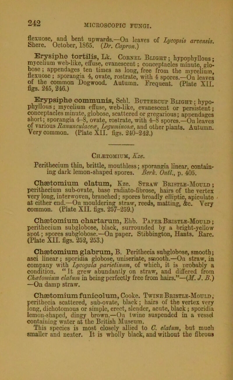 flexuose, and bent upwards.—On leaves of Lycopsis arvensis. Shere. October, 1865. {^Dr, Cctproti^ Ei^siphe tortilis, Lk. Cornel Blight ; hypophyllous; mycelium web-like, elTuse, evanescent; conceptacles minute, glo- bose ; appendages ten times as long, free from the mycelium, llpuose ; sporangia 4, ovate, rostrate, with 4 spores.—On leaves of the common Dogwood. Autumn. Frequent. (Plate XII figs. 245, 246.) Erjrpsiphe commiuiis, Schl. Buttercup Blight ; hypo- phyllous ; mycelium effuse, web-like, evanescent or persistent; conceptacles minute, globose, scattered or gregarious; appendages short; sporangia 4-8, ovate, rostrate, with 4-8 spores.—On leaves of various Ramnculaceie, I^guminosce, and other plants. Autumn. Very common. (Plate XII. figs. 240-242.) CH.STOMIUM, Eze. Perithecium thin, brittle, mouthless; sporangia linear, contain- ing dark lemon-shaped spores. Berk. Outl., p. ^5. Chsetomium elatum, Kze. Straw Bristle-Mould; perithecium sub-ovate, base radiato-fibrose, hairs of the vertex very long, interwoven, branched; spores broadly elliptic, apiculate - at either end.—On mouldering straw, reeds, matting, &c. Very common. (Plate XII. figs. 257-259.) Chsetomium chartarum, Elib. Paper Bristle-Mould; perithecium subglobose, black, surrounded by a bright-yellow spot; spores subglobose.—On paper. Stibbington, Hants. Hare. (Plate XII. figs. 252, 253.) Chsetomium glabrum, B. Perithecia subglobose, smooth; asci linear; sporidia globose, uniseriate, smooth.—On straw, in company with LycogaJa parietinum, of which, it is probably a condition. “It grew abundantly on straw, and differed from Chatomium elatum in being perfectly free from hairs.”—(fff. <7. B.) —On damp straw. Chsetomium funicolum, Cooke. Twine Bristle-Mould , fierithecia scattered, sub-ovate, black; hairs of the vertex very ong, dichotomous or simple, erect, slender, acute, black; sporidia lemon-shaped, dingy brown.—On twine suspended in a vessel containing water at the British Museum. This species is most closely allied to C. elatum, but much smaller and neater. It is wholly black, and without the fibrous