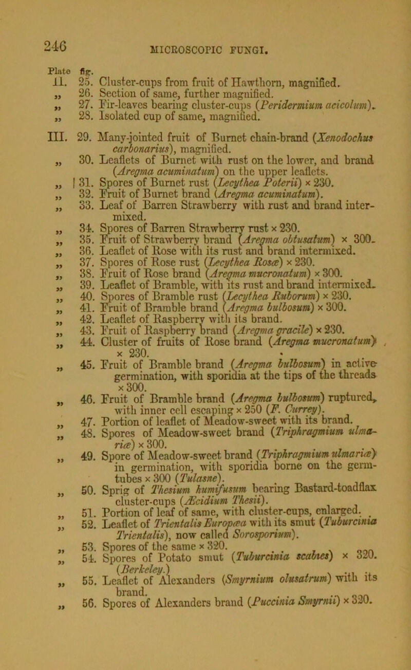 Plato lip. li. 25. Cluster-cups from fruit of Hawtliom, magnified. „ 26. Section of same, further magnified. „ 27. Eir-leaves bearing cluster-cujis {Peridermium acicolum)^ „ 28. Isolated cup of same, magnified. III. 9> 9> 99 99 99 99 99 99 99 99 99 99 99 99 99 99 99 99 99 29. Many-iointed fruit of Burnet chain-brand [Xenodochus carbonarius), magnified. 30. Leaflets of Burnet with rust on the lower, and brand {Aregma acuminatum^ on the upper leaflets. I 31. Spores of Burnet rust {Lecythea Poterii) x 230. 32. Eruit of Burnet brand (Aregma acuminatum). 33. Leaf of Barren Strawberry with rust and brand inter- mixed. 34. ^lores of Barren Strawberry rust x 230. 35. Eruit of Strawberry brand {Aregma ohtusatum) x 300. 36. Leaflet of Rose with its rust and brand intermixed. 37. Spores of Rose rust {Lecythea Rosa) x 230. 38. Eruit of Rose brand {Aregma mucronatum) x 300. 39. Leaflet of Bramble, with its rust and brand intermixed. 40. Spores of Bramble rust (Lecythea Ruborum) x 230. 41. Emit of Bramble brand {Aregma bulbosum) x 300. 42. Leaflet of Raspberry witli its brand. 43. Eruit of Raspberry brand {^Aregma gracile) x 230. 44. Cluster of fruits of Rose brand {Aregma mucronatum^ X 230. 45. Eruit of Bramble brand {Aregma bulbosum) in active germination, with sporidia at the tips of the threads X 300. ^ ^ 46. Fruit of Bramble brand {Aregma bulbosum) ruptured, with inner cell escaping x 250 {P. Currey). 47. Portion of leaflet of Meadow-sweet with its brand. 48. Spores of Meadow-sweet brand {Triphragmium ulma- rite) X 300. , . , . \ Spore of Meadow-sweet brand {Triphragmium ulmaruBy in germination, with sporidia borne on the germ- tubes X 300 {Tulasne). Sprig of Thesium humtfusum bearing Bastard-toadflax cluster-cups {JEcidium Thesii). Portion of leaf of same, with cluster-cups, enlarged. Leaflet of Trientalis Europaa with its smut {Tuburcinta Trientalis), now callea Sorosporium). Spores of the same x 320. Spores of Potato smut {Tuburcinia scabies) x 620. {Berkeley.) . , . ^ -n Leaflet of Alexanders {Smyrmum olusatrum) with us brand. . . „ mn 56. Spores of Alexanders brand {Puccinia Smyrnn) x 320. 49 50. 51. 52. 63. 54. 55.