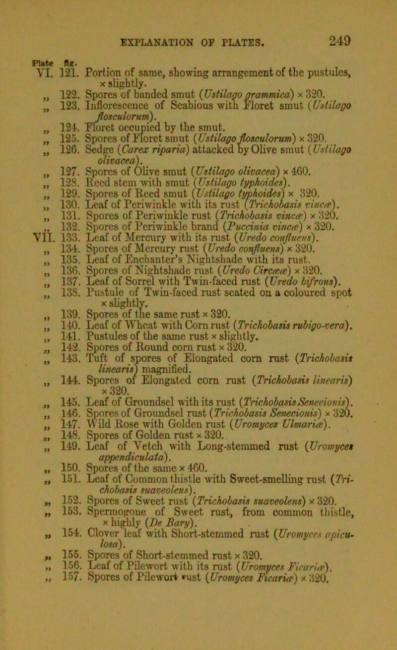 Plate fix. VI. 121. „ 122. 123. vil 124. 125. 120. 127. 128. 129. 130. 131. 132. 133. 134. 135. 136. 137. 138. 139. 140. 141. 142. 143. 144. 145. 146. 147. 148. 149. 150. 151. 152. 153. 154. 155. 156. 157. Portion of same, showing arrangement of the pustules, X slightly. Spores of banded smut {UdUago gratnmied) x 320. Inflorescence of Scabious with Ploret smut {Udilago flosculorvm). Floret occupied by the smut. Spores of Floret smut (JJstilago^culorum) x 320. Sedge [Carex riparia) attacked oy Olive smut (Udilago oUvacea). Spores of Olive smut {Ustilago olivaced) x 400. Reed stem with smut {Ustilago typhoides). Spores of Rped smut typhoides') x 320. Leaf of Periwinkle with its rust {Trichooasis vinra>). Spores of Periwinkle rust {Trichobasis vinca-) x 320. Spores of Periwinkle brand {Fuccinia vinca) x 320. Leaf of Mercury with its rust {Uredo confluens). Spores of Mercury rust {Uredo conjluens) x 320. Leaf of Enchanter’s Nightshade with its rust. Spores of Nightshade rust {Uredo Circaed) x 320. Leaf of Sorrel with Twin-faced rust {Uredo bifrons). Pustule of Twin-faced rust seated on a coloured spot X slightlv. Spores of the same rust x 320. Leaf of Wheat with Com mst {Trichobam rvbigo-vera). Pustules of the same mst x slightly. Spores of Round corn mst x 320. Tuft of spores of Elongated com rust {Trichobasis linearis') magnified. Spores of Elongated com rust {Trichobasis linearis) X 320. Leaf of Groundsel with its rust {TrichobasisSenecionis'). Spores of Groundsel rust {Trichobasis Senecionis) x 320. wild Rose with Golden rust {Uromyces Ulmarice). Spores of Golden rust x 320. Leaf of Vetch wth Long-stemmed mst {Uromyces appendiculata). Spores of the same x 460. Leaf of (Mmmon thistle with Sweet-smelling rust {Tri- chobasis suaceolens). Spores of Sweet rust {Trichobasis suaveolens) x 320. Spermogoue of Sweet rust, from common tliistle, X highly {Be Bary). Clover leaf with Short-stemmed rust {Uromyces apicu- losa). Spores of Short-stemmed mst x 320. Leaf of Pilewort with its mst {Uromyces Firaria), Spores of Pilewort »ust {Uromyces Ficaria) x 320.