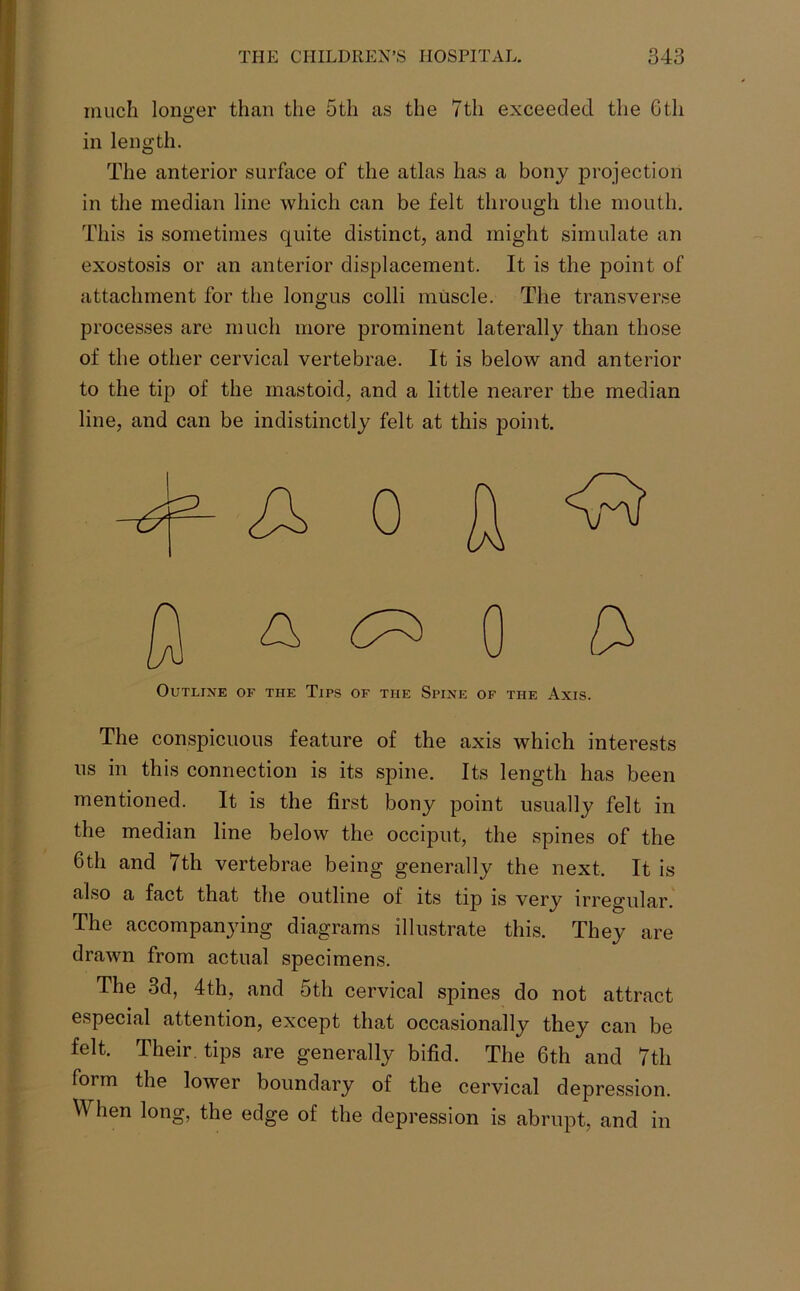 much longer than the 5th as the 7th exceeded the 6th in length. The anterior surface of the atlas has a bony projection in the median line which can be felt through the mouth. This is sometimes quite distinct, and might simulate an exostosis or an anterior displacement. It is the point of attachment for the longus colli muscle. The transverse processes are much more prominent laterally than those of the other cervical vertebrae. It is below and anterior to the tip of the mastoid, and a little nearer the median line, and can be indistinctly felt at this point. Outline of the Tips of the Spine of the Axis. The conspicuous feature of the axis which interests us in this connection is its spine. Its length has been mentioned. It is the first bony point usually felt in the median line below the occiput, the spines of the 6th and 7th vertebrae being generally the next. It is also a fact that the outline of its tip is very irregular. The accompanying diagrams illustrate this. They are drawn from actual specimens. The 3d, 4th, and 5th cervical spines do not attract especial attention, except that occasionally they can be felt. Their tips are generally bifid. The 6th and 7th form the lower boundary of the cervical depression. W hen long, the edge of the depression is abrupt, and in
