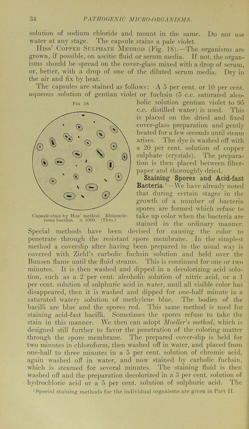 solution of sodium chloride and mount in the same. Do not use water at any stage. The capsule stains a pale violet. Hiss’ Copper Sulphate Method (Fig. 18).—The organisms are grown, if possible, on ascitic fluid or serum media. If not, the organ- isms should be spread on the cover-glass mixed with a drop of serum, or, better, with a drop of one of the diluted serum media. Dry in the air and fix by heat. The capsules are stained as follows: A 5 per cent, or 10 per cent, aqueous solution of gentian violet or fuchsin (5 c.c. saturated alco- fig is holic solution gentian violet to 95 c.c. distilled water) is used. This is placed on the dried and fixed cover-glass preparation and gently heated for a few seconds until steam arises. The dye is washed off with a 20 per cent, solution of copper sulphate (crystals). The prepara- tion is then placed between filter- paper and thoroughly dried. Staining Spores and Acid-fast Bacteria.1—We have already noted that during certain stages in the growth of a number of bacteria spores are formed which refuse to take up color when the bacteria are stained in the ordinary manner. Special methods have been devised for causing the color to penetrate through the resistant spore membrane. In the simplest method a eoverslip after having been prepared in the usual way is covered with Ziehl’s carbolic fuchsin solution and held over the Bunsen flame until the fluid steams. This is continued for one or two minutes. It is then washed and dipped in a decolorizing acid solu- tion, such as a 2 per cent, alcoholic solution of nitric acid, or a 1 per cent, solution of sulphuric acid in water, until all visible color has disappeared, then it is washed and dipped for one-half minute in a saturated watery solution of methylene blue. The bodies of the bacilli are blue and the spores red. This same method is used for staining acid-fast bacilli. Sometimes the spores refuse to take the stain in this manner. We then can adopt Moeller’s method, which is designed still further to favor the penetration of the coloring matter through the spore membrane. The prepared cover-slip is held for two minutes in chloroform, then washed off in water, and placed from one-half to three minutes in a 5 per cent, solution of chromic acid, again washed off in water, and now stained by carbolic fuchsin, which is steamed for several minutes. The staining fluid is then washed off and the preparation decolorized in a 3 per cent, solution of hydrochloric acid or a 5 per cent, solution of sulphuric acid. The ‘Special staining methods for the individual organisms are given in Part II. Capsule stain by Hiss’ method. Rhinoscle- roma bacillus. X 1000. (Thro.)