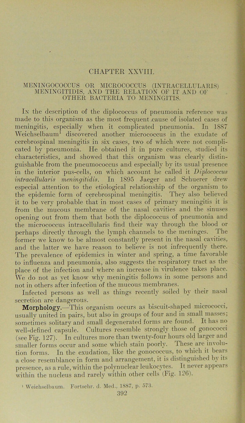 CHAPTER XXVIII. MENINGOCOCCUS OR MICROCOCCUS (INTR ACELLU LARI S) MENINGITIDIS, AND THE RELATION OF IT AND OF OTHER BACTERIA TO MENINGITIS. In the description of the diplococcus of pneumonia reference was made to this organism as the most frequent cause of isolated cases of meningitis, especially when it complicated pneumonia. In 1887 Weichselbaum1 discovered another micrococcus in the exudate of cerebrospinal meningitis in six cases, two of which were not compli- cated by pneumonia. He obtained it in pure cultures, studied its characteristics, and showed that this organism was clearly distin- guishable from the pneumococcus and especially by its usual presence in the interior pus-cells, on which account he called it Diplococcu-s intracellularis meningitidis. In 1895 Jaeger and Schuerer drew especial attention to the etiological relationship of the organism to the epidemic form of cerebrospinal meningitis. They also believed it to be very probable that in most cases of primary meningitis it is from the mucous membrane of the nasal cavities and the sinuses opening out from them that both the diplococcus of pneumonia and the micrococcus intracellularis find their way through the blood or perhaps directly through the lymph channels to the meninges. The former we know to be almost constantly present in the nasal cavities, and the latter we have reason to believe is not infrequently there. The prevalence of epidemics in winter and spring, a time favorable to influenza and pneumonia, also suggests the respiratory tract as the place of the infection and where an increase in virulence takes place. We do not as yet know why meningitis follows in some persons and not in others after infection of the mucous membranes. Infected persons as well as things recently soiled by their nasal secretion are dangerous. Morphology.—This organism occurs as biscuit-shaped micrococci, usually united in pairs, but also in groups of four and in small masses; sometimes solitary and small degenerated forms are found. It has no well-defined capsule. Cultures resemble strongly those of gonococci (see Fig. 127). In cultures more than twenty-four hours old larger and smaller forms occur and some which stain poorly. 1 hese are in\olu- tion forms. In the exudation, like the gonococcus, to which it bears a close resemblance in form and arrangement, it is distinguished b\ its presence, as a rule, within the polynuclear leukocytes. It never appears within the nucleus and rarely within other cells (Fig. 120). 1 Weichselbaum. Fortschr. d. Med., 1887, p. 57.3.