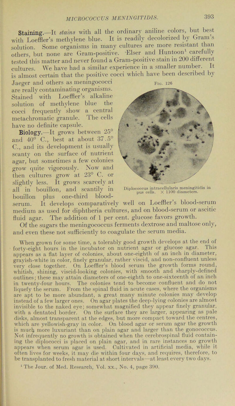 Staining.—It stains with all the ordinary aniline colors, but best with Loeffler’s methylene blue. It is readily decolorized by Gram’s solution. Some organisms in many cultures are more resistant than others, but none are Grain-positive. ‘Elser and Huntoon carefully tested this matter and never found a Gram-positive stain in 200 different cultures. We have had a similar experience in a smaller number. It is almost certain that the positive cocci which have been described by Jaeger and others as meningococci are really contaminating organisms. Stained * with Loeffler’s alkaline solution of methylene blue the cocci frequently show a central metachromatic granule. The cells have no definite capsule. Biology.—It grows between 25° and 40° C., best at about 37.5° C., and its development is usually scanty on the surface of nutrient agar, but sometimes a few colonies grow quite vigorously. Now and then cultures grow at 23° C. or slightly less. It grows scarcely at all in bouillon, and scantily in bouillon plus one-third blood- serum. It develops comparatively well on Loeffler’s blood-serum medium as used for diphtheria cultures, and on blood-serum or ascitic fluid agar. The addition of 1 per cent, glucose favors growth. Of the sugars the meningococcus ferments dextrose and maltose only, and even these not sufficiently to coagulate the serum media. When grown for some time, a tolerably good growth develops at the end of forty-eight hours in the incubator on nutrient agar or glucose agar. This appears as a flat layer of colonies, about one-eighth of an inch in diameter, grayish-white in color, finely granular, rather viscid, and non-confluent unless very close together. On Loeffler’s blood serum the growth forms round, whitish, shining, viscid-looking colonies, with smooth and sharply-defined outlines; these may attain diameters of one-eighth to one-sixteenth of an inch in twenty-four hours. The colonies tend to become confluent and do not liquefy the serum. From the spinal fluid in acute cases, where the organisms are apt to be more abundant, a great many minute colonies may develop instead of a few larger ones. On agar plates the deep-lying colonies are almost invisible to the naked eye; somewhat magnified they appear finely granular, with a dentated border. On the surface they are larger, appearing as pale disks, almost transparent at the edges, but more compact toward the centres, which are yellowish-gray in color. On blood agar or serum agar the growth is much more luxuriant than on plain agar and larger than the gonococcus. Not infrequently no growth is obtained when the cerebrospinal fluid contain- ing the diplococci is placed on plain agar, and in rare instances no growth appears when serum agar is used. Cultivated in artificial media, while it often lives for weeks, it may die within four days, and requires, therefore, to be transplanted to fresh material at short intervals—at least every two days. 1 The Jour, of Med. Research, Yol. xx., No. 4, page 390. Fig. 126