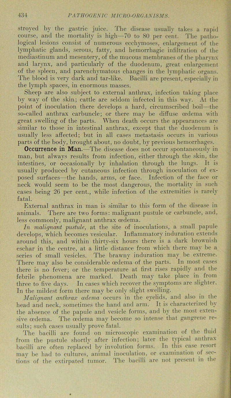 stroyed by the gastric juice. The disease usually takes a rapid course, and the mortality is high—70 to 80 per cent. The patho- logical lesions consist of numerous ecchymoses, enlargement of the lymphatic glands, serous, fatty, and hemorrhagic infiltration of the mediastinum and mesentery, of the mucous membranes of the pharynx and larynx, and particularly of the duodenum, great enlargement of the spleen, and parenchymatous changes in the lymphatic organs. The blood is very dark and tar-like. Bacilli are present, especially in the lymph spaces, in enormous masses. Sheep are also subject to external anthrax, infection taking place by way of the skin; cattle are seldom infected in this way. At the point of inoculation there develops a hard, circumscribed boil—the so-called anthrax carbuncle; or there may be diffuse oedema with great swelling of the parts. When death occurs the appearances are similar to those in intestinal anthrax, except that the duodenum is usually less affected; but in all cases metastasis occurs in various parts of the body, brought about, no doubt, by previous hemorrhages. Occurrence in Man.—The disease does not occur spontaneously in man, but always results from infection, either through the skin, the intestines, or occasionally by inhalation through the lungs. It is usually produced by cutaneous infection through inoculation of ex- posed surfaces—the hands, arms, or face. Infection of the face or neck would seem to be the most dangerous, the mortality in such cases being 26 per cent., while infection of the extremities is rarely fatal. External anthrax in man is similar to this form of the disease in animals. There are two forms: malignant pustule or carbuncle, and, less commonly, malignant anthrax oedema. In malignant pustule, at the site of inoculations, a small papule develops, which becomes vesicular. Inflammatory induration extends around this, and within thirty-six hours there is a dark brownish eschar in the centre, at a little distance from which there may be a series of small vesicles. The brawny induration may be extreme. There may also be considerable oedema of the parts. In most cases there is no fever; or the temperature at first rises rapidly and the febrile phenomena are marked. Death may take place in from three to five days. In cases which recover the symptoms are slighter. In the mildest form there may be only slight swelling. Malignant anthrax oedema occurs in the eyelids, and also in the head and neck, sometimes the hand and arm. It is characterized by the absence of the papule and vesicle forms, and bv the most exten- sive oedema. The oedema may become so intense that gangrene re- sults; such cases usually prove fatal. The bacilli are found on microscopic examination of the fluid from the pustule shortly after infection; later the typical anthrax bacilli are often replaced by involution forms. In this case resort may be had to cultures, animal inoculation, or examination of sec- tions of the extirpated tumor. The bacilli are not present in the