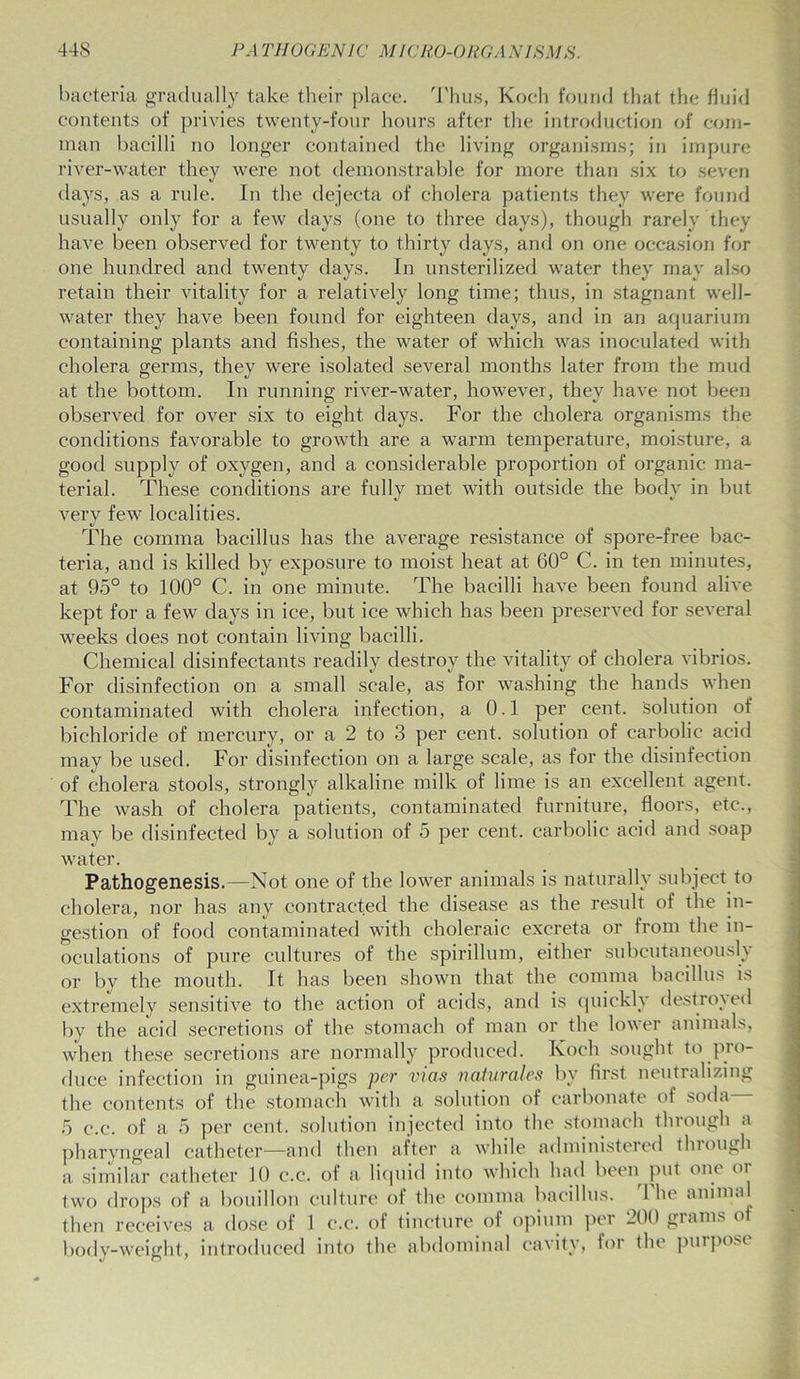 bacteria gradually take their place. Thus, Koch found that the fluid contents of privies twenty-four hours after the introduction of coin- man bacilli no longer contained the living organisms; in impure river-water they were not demonstrable for more than six to seven days, as a rule. In the dejecta of cholera patients they were found usually only for a few days (one to three days), though rarely they have been observed for twenty to thirty days, and on one occasion for one hundred and twenty days. In unsterilized water they may also retain their vitality for a relatively long time; thus, in stagnant well- water they have been found for eighteen days, and in an aquarium containing plants and fishes, the water of which was inoculated with cholera germs, they were isolated several months later from the mud at the bottom. In running river-water, however, they have not been observed for over six to eight days. For the cholera organisms the conditions favorable to growth are a warm temperature, moisture, a good supply of oxygen, and a considerable proportion of organic ma- terial. These conditions are fully met with outside the body in but very few localities. The comma bacillus has the average resistance of spore-free bac- teria, and is killed by exposure to moist heat at 60° C. in ten minutes, at 95° to 100° C. in one minute. The bacilli have been found alive kept for a few days in ice, but ice which has been preserved for several weeks does not contain living bacilli. Chemical disinfectants readily destroy the vitality of cholera vibrios. For disinfection on a small scale, as for washing the hands when contaminated with cholera infection, a 0.1 per cent, solution of bichloride of mercury, or a 2 to 3 per cent, solution of carbolic acid may be used. For disinfection on a large scale, as for the disinfection of cholera stools, strongly alkaline milk of lime is an excellent agent. The wash of cholera patients, contaminated furniture, floors, etc., may be disinfected by a solution of 5 per cent, carbolic acid and soap water. Pathogenesis.—Not one of the lower animals is naturally subject to cholera, nor has any contracted the disease as the result of the in- gestion of food contaminated with choleraic excreta or from the in- oculations of pure cultures of the spirillum, either subcutaneously or by the mouth. It has been shown that the comma bacillus is extremely sensitive to the action of acids, and is quickly destroyed by the acid secretions of the stomach of man or the lower animals, when these secretions are normally produced. Koch sought to pro- duce infection in guinea-pigs per vias naturalrs by first neutralizing the contents of the stomach with a solution of carbonate of soda— 5 c.c*. of a 5 per cent, solution injected into the stomach through a pharyngeal catheter—and then after a while administered tluough a similar catheter 10 c.c. of a liquid into which had been put one or two drops of a bouillon culture of the comma bacillus. 1 he animal then receives a dose of 1 c.c. of tincture of opium per 200 grams of body-weight, introduced into the abdominal cavity, for the purpose