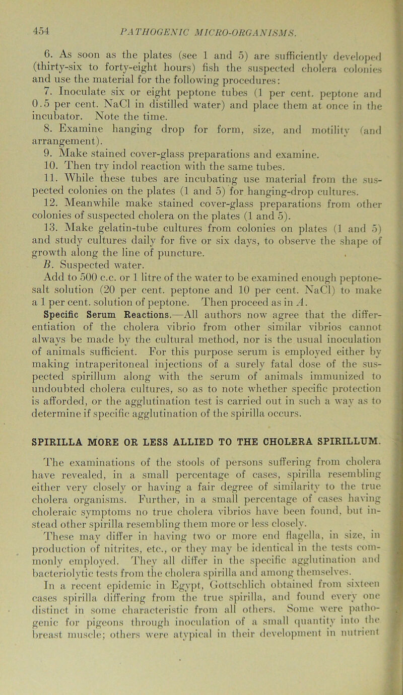 6. As soon as the plates (see 1 and 5) are sufficiently developed (thirty-six to forty-eight hours) fish the suspected cholera colonies and use the material for the following procedures: 7. Inoculate six or eight peptone tubes (1 per cent, peptone and 0.5 per cent. NaCl in distilled water) and place them at once in the incubator. Note the time. 8. Examine hanging drop for form, size, and motility (and arrangement). 9. Make stained cover-glass preparations and examine. 10. Then try indol reaction with the same tubes. 11. While these tubes are incubating use material from the sus- pected colonies on the plates (1 and 5) for hanging-drop cultures. 12. Meanwhile make stained cover-glass preparations from other colonies of suspected cholera on the plates (1 and 5). 13. Make gelatin-tube cultures from colonies on plates (1 and 5) and study cultures daily for five or six days, to observe the shape of growth along the line of puncture. B. Suspected water. Add to 500 c.c. or 1 litre of the water to be examined enough peptone- salt solution (20 per cent, peptone and 10 per cent. NaCl) to make a 1 per cent, solution of peptone. Then proceed as in A. Specific Serum Reactions.—All authors now agree that the differ- entiation of the cholera vibrio from other similar vibrios cannot always be made by the cultural method, nor is the usual inoculation of animals sufficient. For this purpose serum is employed either by making intraperitoneal injections of a surely fatal dose of the sus- pected spirillum along with the serum of animals immunized to undoubted cholera cultures, so as to note whether specific protection is afforded, or the agglutination test is carried out in such a way as to determine if specific agglutination of the spirilla occurs. SPIRILLA MORE OR LESS ALLIED TO THE CHOLERA SPIRILLUM. The examinations of the stools of persons suffering from cholera have revealed, in a small percentage of cases, spirilla resembling either very closely or having a fair degree of similarity to the true cholera organisms. Further, in a small percentage of cases having choleraic symptoms no true cholera vibrios have been found, but in- stead other spirilla resembling them more or less closely. These may differ in having two or more end flagella, in size, in production of nitrites, etc., or they may be identical in the tests com- monly employed. They all differ in the specific agglutination and bacteriolytic tests from the cholera spirilla and among themselves. In a recent epidemic in Egypt, Gottschlich obtained from sixteen cases spirilla differing from the true spirilla, and found every one distinct in some characteristic from all others. Some were patho- genic for pigeons through inoculation of a small quantity into the breast muscle; others were atypical in their development in nutrient