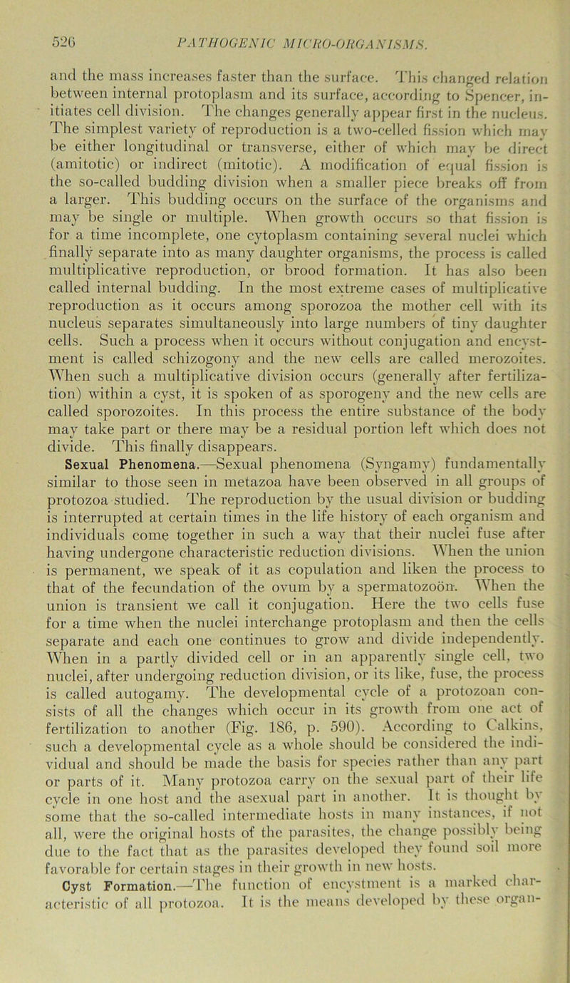 find the mass increases faster than the surface. I his changed relation between internal protoplasm and its surface, according to Spencer, in- itiates cell division. I he changes generally appear first in the nucleus. The simplest variety of reproduction is a two-celled fission which may be either longitudinal or transverse, either of which may be direct (amitotic) or indirect (mitotic). A modification of equal fission is the so-called budding division when a smaller piece breaks off from a larger. This budding occurs on the surface of the organisms and may be single or multiple. When growth occurs so that fission is for a time incomplete, one cytoplasm containing several nuclei which finally separate into as many daughter organisms, the process is called multiplicative reproduction, or brood formation. It has also been called internal budding. In the most extreme cases of multiplicative reproduction as it occurs among sporozoa the mother cell with its nucleus separates simultaneously into large numbers of tiny daughter cells. Such a process when it occurs without conjugation and encyst- ment is called schizogony and the new cells are called merozoites. When such a multiplicative division occurs (generally after fertiliza- tion) within a cyst, it is spoken of as sporogeny and the new cells are called sporozoites. In this process the entire substance of the body may take part or there may be a residual portion left which does not divide. This finally disappears. Sexual Phenomena.—Sexual phenomena (Syngamy) fundamentally similar to those seen in metazoa have been observed in all groups of protozoa studied. The reproduction by the usual division or budding is interrupted at certain times in the life history of each organism and individuals come together in such a way that their nuclei fuse after having undergone characteristic reduction divisions. When the union is permanent, we speak of it as copulation and liken the process to that of the fecundation of the ovum by a spermatozoon. 'When the union is transient we call it conjugation. Here the two cells fuse for a time when the nuclei interchange protoplasm and then the cells separate and each one continues to grow and divide independently. When in a partly divided cell or in an apparently single cell, two nuclei, after undergoing reduction division, or its like, fuse, the process is called autogamy. The developmental cycle of a protozoan con- sists of all the changes which occur in its growth from one act of fertilization to another (Fig. 186, p. 590). According to ( alkins, such a developmental cycle as a whole should be considered the indi- vidual and should be made the basis for species rather than any part or parts of it. Many protozoa carry on the sexual part of their life cycle in one host and the asexual part in another. It is thought b\ some that the so-called intermediate hosts in many instances, if not all, were the original hosts of the parasites, the change possihh being due to the fact that as the parasites developed they found soil more favorable for certain stages in their growth in new hosts. Cyst Formation.—The function of eneystment is a marked cluu- acteristic of all protozoa. It is the means developed by these organ-
