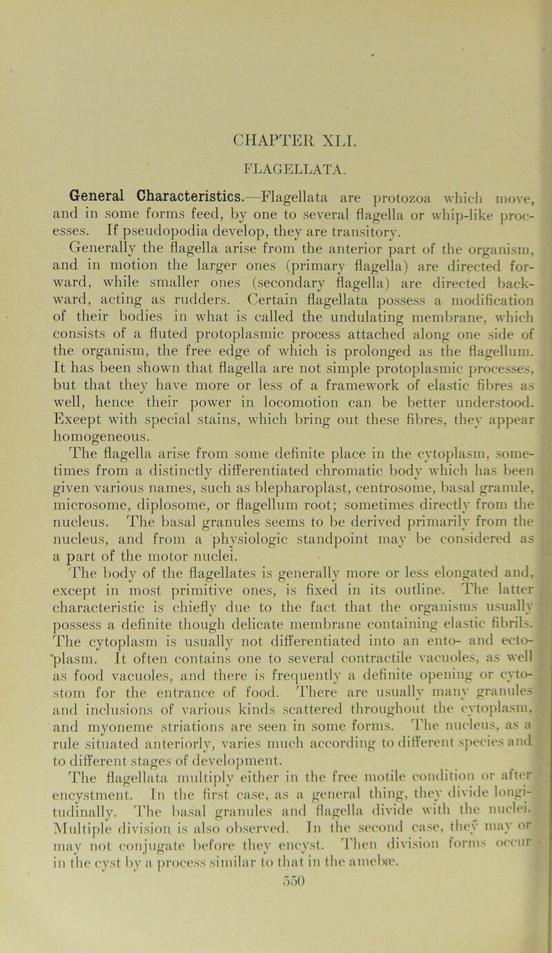 CHAPTER XLI. FLAGELLATA. General Characteristics.—Flagellata are protozoa which move, and in some forms feed, by one to several flagella or whip-like proc- esses. If pseudopodia develop, they are transitory. Generally the flagella arise from the anterior part of the organism, and in motion the larger ones (primary flagella) are directed for- ward, while smaller ones (secondary flagella) are directed back- ward, acting as rudders. Certain flagellata possess a modification of their bodies in what is called the undulating membrane, which consists of a fluted protoplasmic process attached along one side of the organism, the free edge of which is prolonged as the flagellum. It has been shown that flagella are not simple protoplasmic processes, but that they have more or less of a framework of elastic fibres as well, hence their power in locomotion can be better understood. Except with special stains, which bring out these fibres, they appear homogeneous. The flagella arise from some definite place in the cytoplasm, some- times from a distinctly differentiated chromatic body which has been given various names, such as blepharoplast, centrosome, basal granule, microsome, diplosome, or flagellum root; sometimes directly from the nucleus. The basal granules seems to be derived primarily from the nucleus, and from a physiologic standpoint may be considered as a part of the motor nuclei. The body of the flagellates is generally more or less elongated and, except in most primitive ones, is fixed in its outline. The latter characteristic is chiefly due to the fact that the organisms usually possess a definite though delicate membrane containing elastic fibrils. The cytoplasm is usually not differentiated into an ento- and ecto- 'plasm. It often contains one to several contractile vacuoles, as well as food vacuoles, and there is frequently a definite opening or cyto- stom for the entrance of food. There are usually many granules and inclusions of various kinds scattered throughout the cytoplasm, and myoneme striations are seen in some forms. The nucleus, as a rule situated anteriorly, varies much according to different species and to different stages of development. The flagellata multiply either in the free motile condition or after encystment. In the first case, as a general thing, they divide longi- tudinally. The basal granules and flagella divide with the nuclei. Multiple division is also observed. In the second case, they may or may not conjugate before they encyst. Then division forms occur in the cyst by a process similar to that in the amebic.