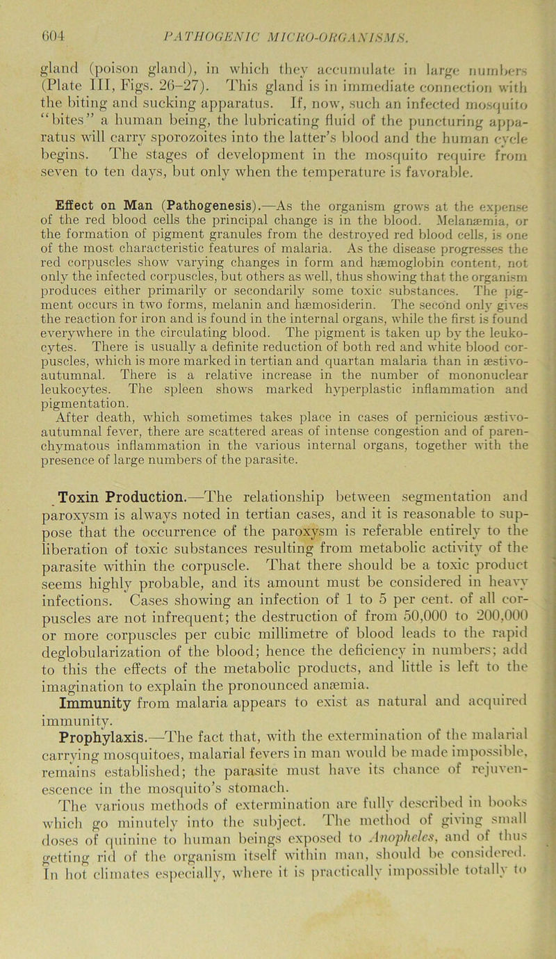 gland (poison gland), in which they accumulate in large numbers (Plate III, Figs. 26-27). This gland is in immediate connection with the biting and sucking apparatus. If, now, such an infected mosquito “bites” a human being, the lubricating fluid of the puncturing appa- ratus will carry sporozoites into the latter’s blood and the human cycle begins. The stages of development in the mosquito require from seven to ten days, but only when the temperature is favorable. Effect on Man (Pathogenesis).—As the organism grows at the expense of the red blood cells the principal change is in the blood. .Melanaemia, or the formation of pigment granules from the destroyed red blood cells, is one of the most characteristic features of malaria. As the disease progresses the red corpuscles show varying changes in form and haemoglobin content, not only the infected corpuscles, but others as well, thus showing that the organism produces either primarily or secondarily some toxic substances. The pig- ment occurs in two forms, melanin and hemosiderin. The second only gives the reaction for iron and is found in the internal organs, while the first is found everywhere in the circulating blood. The pigment is taken up by the leuko- cytes. There is usually a definite reduction of both red and white blood cor- puscles, which is more marked in tertian and quartan malaria than in aestivo- autumnal. There is a relative increase in the number of mononuclear leukocytes. The spleen shows marked hyperplastic inflammation and pigmentation. After death, which sometimes takes place in cases of pernicious aestivo- autumnal fever, there are scattered areas of intense congestion and of paren- chymatous inflammation in the various internal organs, together with the presence of large numbers of the parasite. Toxin Production.—The relationship between segmentation and paroxysm is always noted in tertian cases, and it is reasonable to sup- pose that the occurrence of the paroxysm is referable entirely to the liberation of toxic substances resulting from metabolic activity of the parasite within the corpuscle. That there should be a toxic product seems highly probable, and its amount must be considered in heavy infections. Cases showing an infection of 1 to 5 per cent, of all cor- puscles are not infrequent; the destruction of from 50,000 to 200,000 or more corpuscles per cubic millimetre of blood leads to the rapid deglobularization of the blood; hence the deficiency in numbers; add to this the effects of the metabolic products, and little is left to the imagination to explain the pronounced antemia. Immunity from malaria appears to exist as natural and acquired immunity. Prophylaxis.—-The fact that, with the extermination of the malarial carrying mosquitoes, malarial fevers in man would be made impossible, remains established; the parasite must have its chance of rejuven- escence in the mosquito’s stomach. The various methods of extermination are fully described in books which go minutely into the subject. The method of giving small doses of quinine to human beings exposed to Anopheles, and of thus getting rid of the organism itself within man, should be considered. In hot climates especially, where it is practically impossible totally to