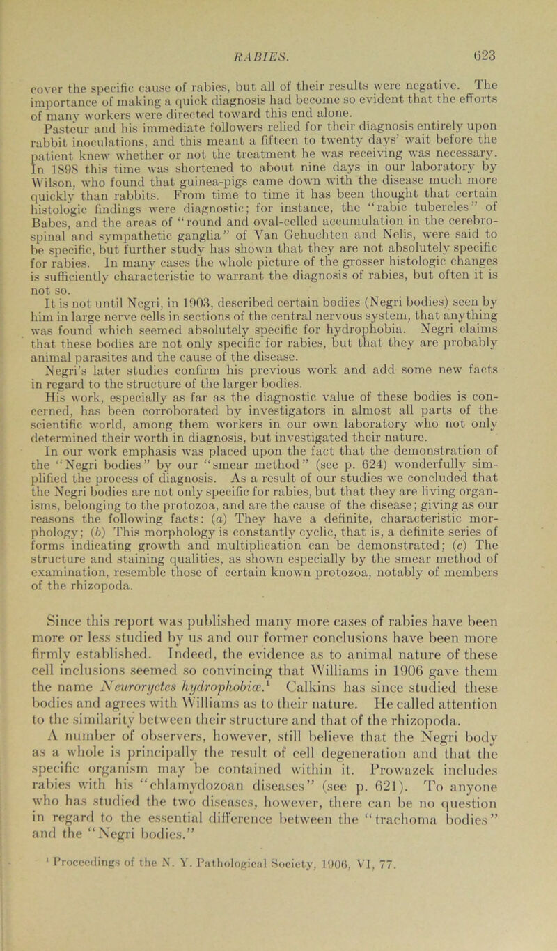 cover the specific cause of rabies, but all of their results were negative. 1 he importance of making a quick diagnosis had become so evident that the efforts of many workers were directed toward this end alone. Pasteur and his immediate followers relied for their diagnosis entirely upon rabbit inoculations, and this meant a fifteen to twenty days’ wait before the patient knew whether or not the treatment he was receiving was necessary. In 189S this time was shortened to about nine days in our laboratory by Wilson, who found that guinea-pigs came down with the disease much more quickly than rabbits. From time to time it has been thought that certain histologic findings were diagnostic; for instance, the “rabic tubercles’ of Babes, and the areas of “round and oval-celled accumulation in the cerebro- spinal and sympathetic ganglia” of Van Gehuchten and Nelis, were said to be specific, but further study has shown that they are not absolutely specific for rabies. In many cases the whole picture of the grosser histologic changes is sufficiently characteristic to warrant the diagnosis of rabies, but often it is not so. It is not until Negri, in 1903, described certain bodies (Negri bodies) seen by him in large nerve cells in sections of the central nervous system, that anything was found which seemed absolutely specific for hydrophobia. Negri claims that these bodies are not only specific for rabies, but that they are probably animal parasites and the cause of the disease. Negri’s later studies confirm his previous work and add some new facts in regard to the structure of the larger bodies. His work, especially as far as the diagnostic value of these bodies is con- cerned, has been corroborated by investigators in almost all parts of the scientific world, among them workers in our own laboratory who not only determined their worth in diagnosis, but investigated their nature. In our work emphasis was placed upon the fact that the demonstration of the “Negri bodies” by our “smear method” (see p. 624) wonderfully sim- plified the process of diagnosis. As a result of our studies we concluded that the Negri bodies are not only specific for rabies, but that they are living organ- isms, belonging to the protozoa, and are the cause of the disease; giving as our reasons the following facts: (a) They have a definite, characteristic mor- phology; (6) This morphology is constantly cyclic, that is, a definite series of forms indicating growth and multiplication can be demonstrated; (c) The structure and staining qualities, as shown especially by the smear method of examination, resemble those of certain known protozoa, notably of members of the rhizopoda. Since this report was published many more cases of rabies have been more or less studied by us and our former conclusions have been more firmly established. Indeed, the evidence as to animal nature of these cell inclusions seemed so convincing that Williams in 1906 gave them the name Neuroryctes hydrophobia’.1 Calkins has since studied these bodies and agrees with Williams as to their nature. He called attention to the similarity between their structure and that of the rhizopoda. A number of observers, however, still believe that the Negri body as a whole is principally the result of cell degeneration and that the specific organism may be contained within it. Prowazek includes rabies with his “chlamydozoan diseases” (see p. 621). To anyone who has studied the two diseases, however, there can be no question in regard to the essential difference between the “trachoma bodies” and the “Negri bodies.” 1 Proceedings of the N. Y. Pathological Society, 1906, VI, 77.