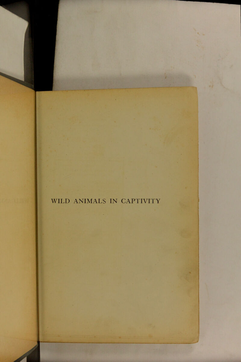 WILD ANIMALS IN CAPTIVITY