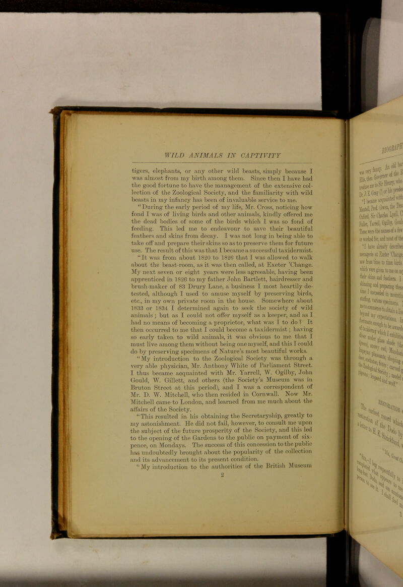 tigers, elephants, or any other wild beasts, simply because I was almost from my birth among them. Since then I have had the good fortune to have the management of the extensive col- lection of the Zoological Society, and the familiarity with wild beasts in my infancy lias been of invaluable service to me. “During the early period of my life, Mr. Cross, noticing how fond I was of living birds and other animals, kindly offered me the dead bodies of some of the birds which I was so fond of feeding. This led me to endeavour to save their beautiful feathers and skins from decay. I was not long in being able to take off and prepare their skins so as to preserve them for future use. The result of this was that I became a successful taxidermist. “It was from about 1820 to 1826 that I was allowed to walk about the beast-room, as it was then called, at Exeter ’Change. My next seven or eight years were less agreeable, having been apprenticed in 1826 to my father John Bartlett, hairdresser and brush-maker of 83 Drury Lane, a business I most heartily de- tested, although I used to amuse myself by preserving birds, etc., in my own private room in the house. Somewhere about 1833 or 1834 I determined again to seek the society of wild animals; but as I could not offer myself as a keeper, and as I had no means of becoming a proprietor, what was I to do ? It then occurred to me that I could become a taxidermist; having so early taken to wild animals, it was obvious to me that I must live among them without being one myself, and this I could do by preserving specimens of Nature’s most beautiful works. “My introduction to the Zoological Society was through a very able physician, Mr. Anthony White of Parliament Street. I thus became acquainted with Mr. Yarrell, W. Ogilby, John Gould, W. Gillett, and others (the Society’s Museum was in Bruton Street at this period), and I was a correspondent of Mr. D. W. Mitchell, who then resided in Cornwall. Now Mr. Mitchell came to London, and learned from me much about the affairs of the Society. “This resulted in his obtaining the Secretaryship, greatly to my astonishment. He did not fail, however, to consult me upon the subject of the future prosperity of the Society, and this led to the opening of the Gardens to the public on payment of six- pence, on Mondays. The success of this concession to the public has undoubtedly brought about the popularity of the collection and its advancement to its present condition. “My introduction to the authorities of the British Museum
