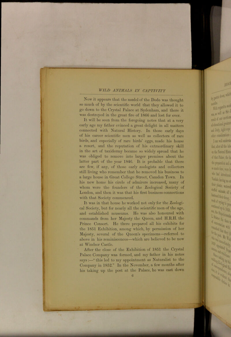 Now it appears that the model of the Dodo was thought so much of by the scientific world that they allowed it to go down to the Crystal Palace at Sydenham, and there it was destroyed in the great fire of 1866 and lost for ever. It will be seen from the foregoing notes that at a very early age my father evinced a great delight in all matters connected with Natural History. In those early days of his career scientific men as well as collectors of rare birds, and especially of rare birds’ eggs, made his house a resort, and the reputation of his extraordinary skill in the art of taxidermy became so widely spread that he was obliged to remove into larger premises about the latter part of the year 1846. It is probable that there are few, if any, of those early zoologists and collectors still living who remember that he removed his business to a large house in Great College Street, Camden Town. In his new home his circle of admirers increased, many of whom were the founders of the Zoological Society of London, and then it was that his first business connections with that Society commenced. It was in that house he worked not only for the Zoologi- cal Society, but for nearly all the scientific men of the age, and established museums. He was also honoured with commands from her Majesty the Queen, and H.R.H. the Prince Consort. He there prepared all his exhibits for the 1851 Exhibition, among which, by permission of her Majesty, several of the Queen’s specimens—referred to above in his reminiscences—which are believed to be now at Windsor Castle. After the close of the Exhibition of 1851 the Crystal Palace Company was formed, and my father in his notes says :—“ this led to my appointment as Naturalist to the Company in 1852.” In the November, a few months after his taking up the post at the Palace, he was cast down