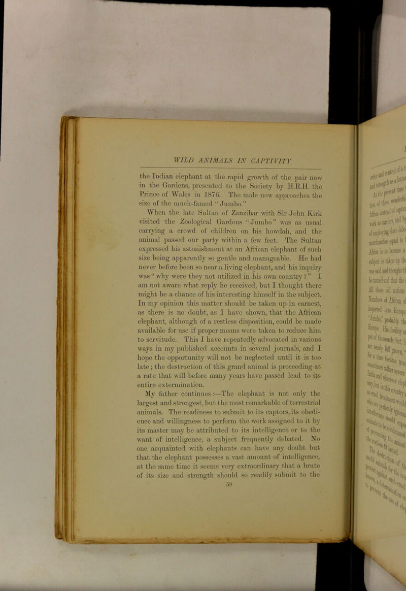 the Indian elephant at the rapid growth of the pair now in the Gardens, presented to the Society by H.R.H. the Prince of Wales in 1876. The male now approaches the size of the much-famed “ Jumbo.” When the late Sultan of Zanzibar with Sir John Kirk visited the Zoological Gardens “Jumbo” was as usual carrying a crowd of children on his howdah, and the animal passed our party within a few feet. The Sultan expressed his astonishment at an African elephant of such size being apparently so gentle and manageable. He had never before been so near a living elephant, and his inquiry was “ why were they not utilized in his own country ? ” I am not aware what reply he received, but I thought there might be a chance of his interesting himself in the subject. In my opinion this matter should be taken up in earnest, as there is no doubt, as I have shown, that the African elephant, although of a restless disposition, could be made available for use if proper means were taken to reduce him to servitude. This I have repeatedly advocated in various ways in my published accounts in several journals, and I hope the opportunity will not be neglected until it is too late; the destruction of this grand animal is proceeding at a rate that will before many years have passed lead to its entire extermination. My father continues:—The elephant is not only the largest and sti’ongest, but the most remarkable of terrestrial animals. The readiness to submit to its captors, its obedi- ence and willingness to perform the work assigned to it by its master may be attributed to its intelligence or to the want of intelligence, a subject frequently debated. No one acquainted with elephants can have any doubt but that the elephant possesses a vast amount of intelligence, at the same time it seems very extraordinary that a brute of its size and strength should so readily submit to the