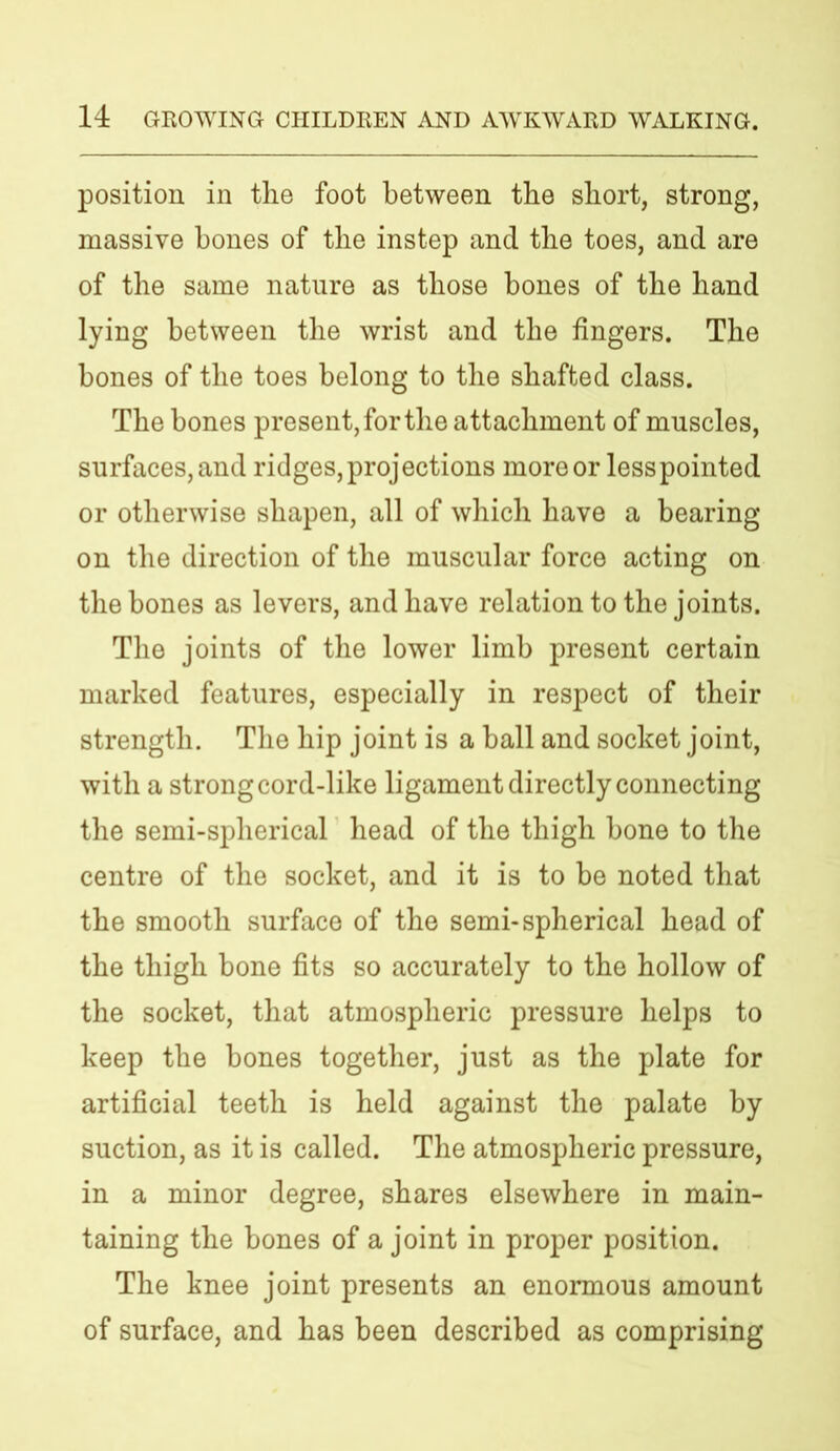 position in tlie foot between the short, strong, massive bones of the instep and the toes, and are of the same nature as those bones of the hand lying between the wrist and the fingers. The bones of the toes belong to the shafted class. The bones present, for the attachment of muscles, surfaces, and ridges, projections more or less pointed or otherwise shapen, all of which have a bearing on the direction of the muscular force acting on the bones as levers, and have relation to the joints. The joints of the lower limb present certain marked features, especially in respect of their strength. The hip joint is a ball and socket joint, with a strong cord-like ligament directly connecting the semi-spherical head of the thigh bone to the centre of the socket, and it is to be noted that the smooth surface of the semi-spherical head of the thigh bone fits so accurately to the hollow of the socket, that atmospheric pressure helps to keep the bones together, just as the plate for artificial teeth is held against the palate by suction, as it is called. The atmospheric pressure, in a minor degree, shares elsewhere in main- taining the bones of a joint in proper position. The knee joint presents an enormous amount of surface, and has been described as comprising