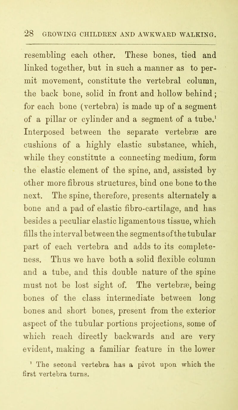 resembling each other. These bones, tied and linked together, but in such a manner as to per- mit movement, constitute the vertebral column, the back bone, solid in front and hollow behind; for each bone (vertebra) is made up of a segment of a pillar or cylinder and a segment of a tube.1 Interposed between the separate vertebrae are cushions of a highly elastic substance, which, while they constitute a connecting medium, form the elastic element of the spine, and, assisted by other more fibrous structures, bind one bone to the next. The spine, therefore, presents alternately a bone and a pad of elastic fibro-cartilage, and has besides a peculiar elastic ligamentous tissue, which fills the interval between the segments of the tubular part of each vertebra and adds to its complete- ness. Thus we have both a solid flexible column and a tube, and this double nature of the spine must not be lost sight of. The vertebrae, being bones of the class intermediate between long bones and short bones, present from the exterior aspect of the tubular portions projections, some of which reach directly backwards and are very evident, making a familiar feature in the lower 1 The second vertebra has a pivot upon which the first vertebra turns.