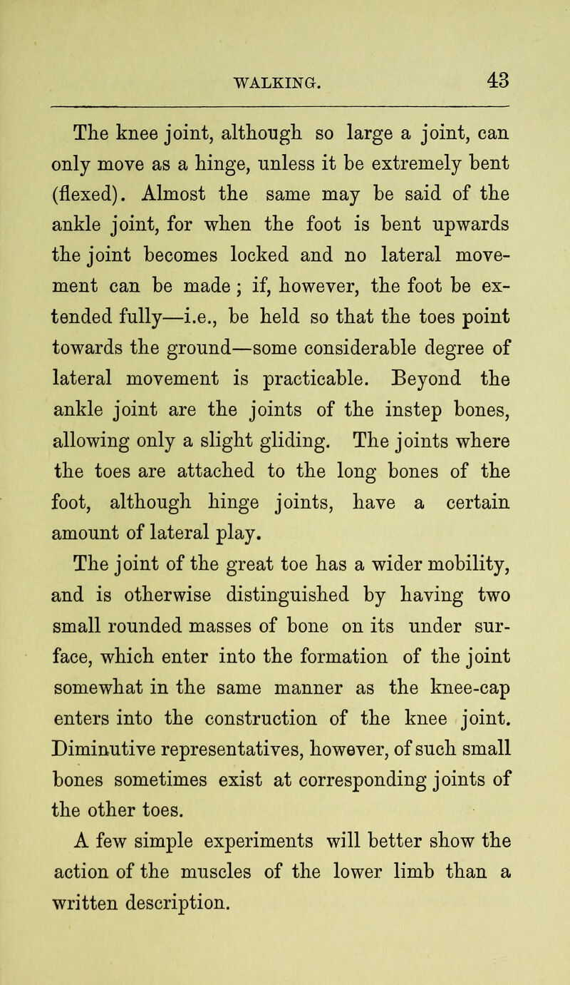 The knee joint, although so large a joint, can only move as a hinge, unless it be extremely bent (flexed). Almost the same may be said of the ankle joint, for when the foot is bent upwards the joint becomes locked and no lateral move- ment can be made; if, however, the foot be ex- tended fully—i.e., be held so that the toes point towards the ground—some considerable degree of lateral movement is practicable. Beyond the ankle joint are the joints of the instep bones, allowing only a slight gliding. The joints where the toes are attached to the long bones of the foot, although hinge joints, have a certain amount of lateral play. The joint of the great toe has a wider mobility, and is otherwise distinguished by having two small rounded masses of bone on its under sur- face, which enter into the formation of the joint somewhat in the same manner as the knee-cap enters into the construction of the knee joint. Diminutive representatives, however, of such small bones sometimes exist at corresponding joints of the other toes. A few simple experiments will better show the action of the muscles of the lower limb than a written description.