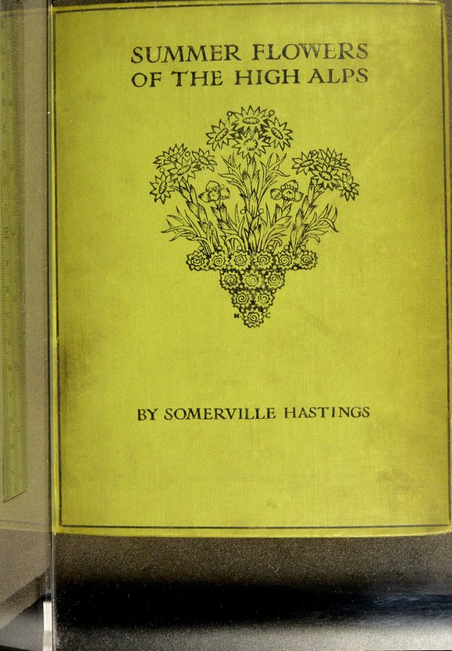 No text description is available for this image