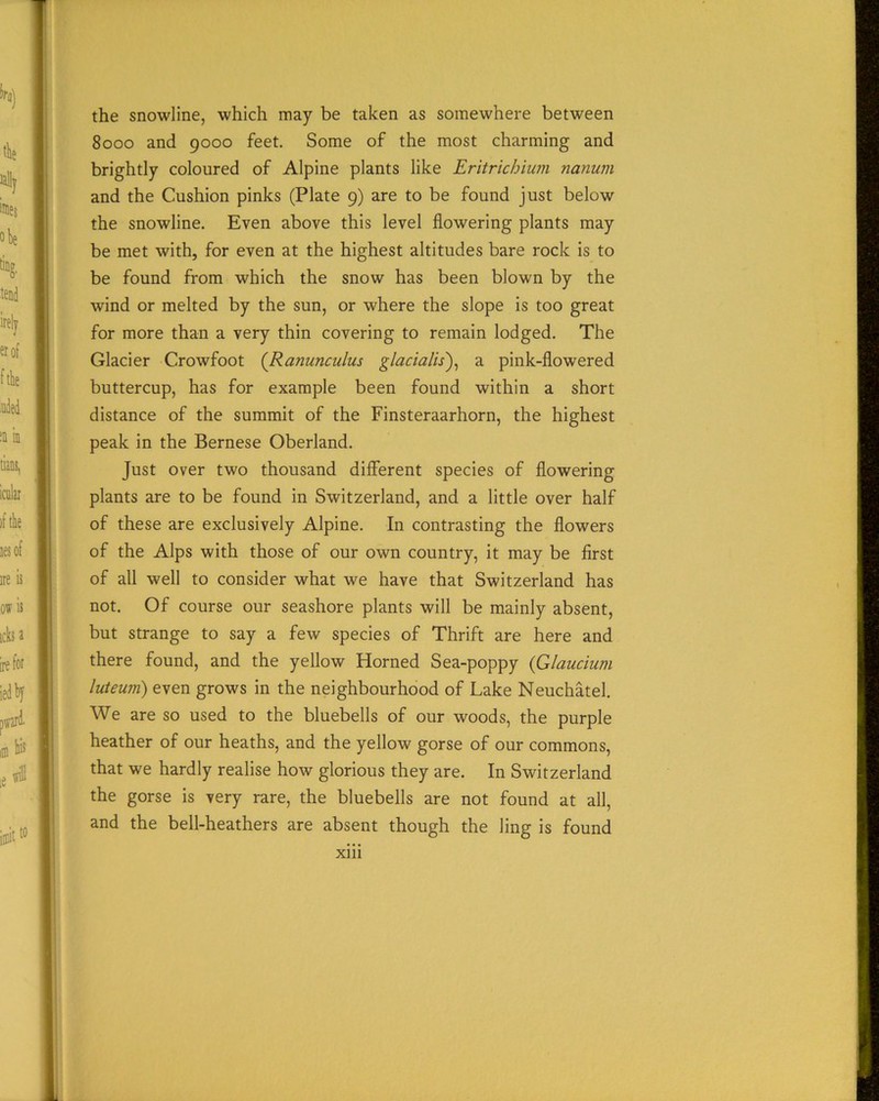 the snowline, which may be taken as somewhere between 8000 and 9000 feet. Some of the most charming and brightly coloured of Alpine plants like Eritrichium nanum and the Cushion pinks (Plate 9) are to be found just below the snowline. Even above this level flowering plants may be met with, for even at the highest altitudes bare rock is to be found from which the snow has been blown by the wind or melted by the sun, or where the slope is too great for more than a very thin covering to remain lodged. The Glacier Crowfoot (Ranunculus glacialis), a pink-flowered buttercup, has for example been found within a short distance of the summit of the Finsteraarhorn, the highest peak in the Bernese Oberland. Just over two thousand different species of flowering plants are to be found in Switzerland, and a little over half of these are exclusively Alpine. In contrasting the flowers of the Alps with those of our own country, it may be first of all well to consider what we have that Switzerland has not. Of course our seashore plants will be mainly absent, but strange to say a few species of Thrift are here and there found, and the yellow Horned Sea-poppy (Glaucium luteum) even grows in the neighbourhood of Lake Neuchatel. We are so used to the bluebells of our woods, the purple heather of our heaths, and the yellow gorse of our commons, that we hardly realise how glorious they are. In Switzerland the gorse is very rare, the bluebells are not found at all, and the bell-heathers are absent though the ling is found xni