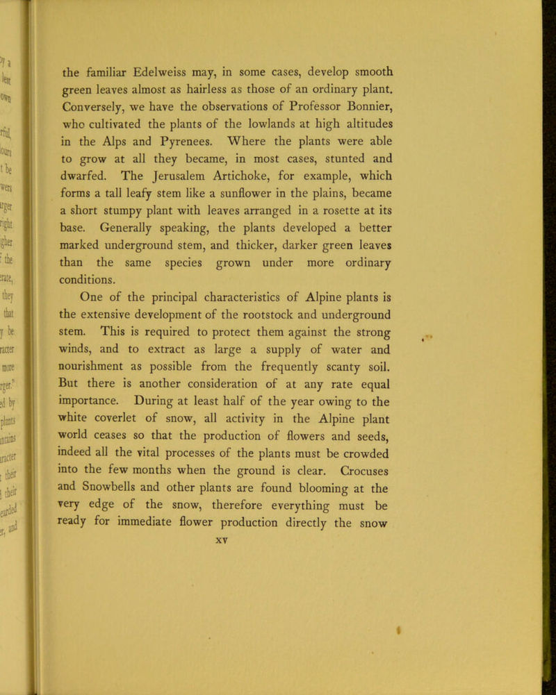 the familiar Edelweiss may, in some cases, develop smooth green leaves almost as hairless as those of an ordinary plant. Conversely, we have the observations of Professor Bonnier, who cultivated the plants of the lowlands at high altitudes in the Alps and Pyrenees. Where the plants were able to grow at all they became, in most cases, stunted and dwarfed. The Jerusalem Artichoke, for example, which forms a tall leafy stem like a sunflower in the plains, became a short stumpy plant with leaves arranged in a rosette at its base. Generally speaking, the plants developed a better marked underground stem, and thicker, darker green leaves than the same species grown under more ordinary conditions. One of the principal characteristics of Alpine plants is the extensive development of the rootstock and underground stem. This is required to protect them against the strong winds, and to extract as large a supply of water and nourishment as possible from the frequently scanty soil. But there is another consideration of at any rate equal importance. During at least half of the year owing to the white coverlet of snow, all activity in the Alpine plant world ceases so that the production of flowers and seeds, indeed all the vital processes of the plants must be crowded into the few months when the ground is clear. Crocuses and Snowbells and other plants are found blooming at the very edge of the snow, therefore everything must be ready for immediate flower production directly the snow