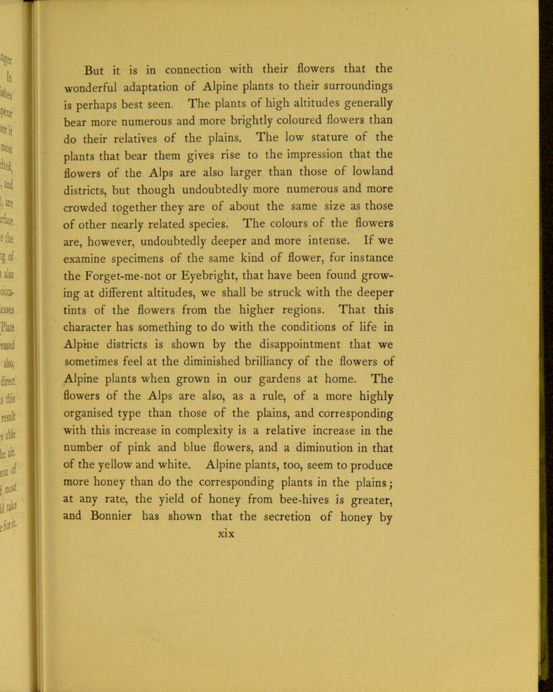 But it is in connection with their flowers that the wonderful adaptation of Alpine plants to their surroundings is perhaps best seen. The plants of high altitudes generally bear more numerous and more brightly coloured flowers than do their relatives of the plains. The low stature of the plants that bear them gives rise to the impression that the flowers of the Alps are also larger than those of lowland districts, but though undoubtedly more numerous and more crowded together they are of about the same size as those of other nearly related species. The colours of the flowers are, however, undoubtedly deeper and more intense. If we examine specimens of the same kind of flower, for instance the Forget-me-not or Eyebright, that have been found grow- ing at different altitudes, we shall be struck with the deeper tints of the flowers from the higher regions. That this character has something to do with the conditions of life in Alpine districts is shown by the disappointment that we sometimes feel at the diminished brilliancy of the flowers of Alpine plants vrhen grown in our gardens at home. The flowers of the Alps are also, as a rule, of a more highly organised type than those of the plains, and corresponding with this increase in complexity is a relative increase in the number of pink and blue flowers, and a diminution in that of the yellow and white. Alpine plants, too, seem to produce more honey than do the corresponding plants in the plains • at any rate, the yield of honey from bee-hives is greater, and Bonnier has shown that the secretion of honey by