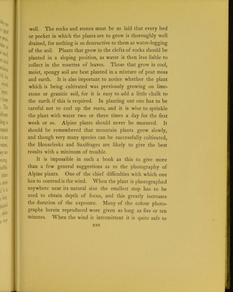 well. The rocks and stones must be so laid that every bed or pocket in which the plants are to grow is thoroughly well drained, for nothing is so destructive to them as water-logging of the soil. Plants that grow in the clefts of rocks should be planted in a sloping position, as water is then less liable to collect in the rosettes of leaves. Those that grow in cool, moist, spongy soil are best planted in a mixture of peat moss and earth. It is also important to notice whether the plant which is being cultivated was previously growing on lime- stone or granitic soil, for it is easy to add a little chalk to the earth if this is required. In planting out one has to be careful not to curl up the roots, and it is wise to sprinkle the plant with water two or three times a day for the first week or so. Alpine plants should never be manured. It should be remembered that mountain plants grow slowly, and though very many species can be successfully cultivated, the Houseleeks and Saxifrages are likely to give the best results with a minimum of trouble. It is impossible in such a book as this to give more than a few general suggestions as to the photography of Alpine plants. One of the chief difficulties with which one has to contend is the wind. When the plant is photographed anywhere near its natural size the smallest stop has to be used to obtain depth of focus, and this greatly increases the duration of the exposure. Many of the colour photo- graphs herein reproduced were given as long as five or ten minutes. When the wind is intermittent it is quite safe to