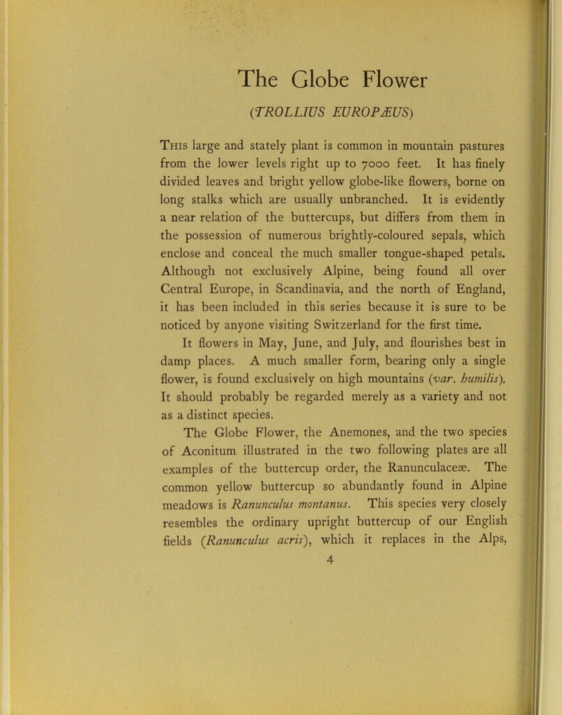 The Globe Flower ('TROLLIUS EUROPJEUS) This large and stately plant is common in mountain pastures from the lower levels right up to 7000 feet. It has finely divided leaves and bright yellow globe-like flowers, borne on long stalks which are usually unbranched. It is evidently a near relation of the buttercups, but differs from them in the possession of numerous brightly-coloured sepals, which enclose and conceal the much smaller tongue-shaped petals. Although not exclusively Alpine, being found all over Central Europe, in Scandinavia, and the north of England, it has been included in this series because it is sure to be noticed by anyone visiting Switzerland for the first time. It flowers in May, June, and July, and flourishes best in damp places. A much smaller form, bearing only a single flower, is found exclusively on high mountains (var. humilis). It should probably be regarded merely as a variety and not as a distinct species. The Globe Flower, the Anemones, and the two species of Aconitum illustrated in the two following plates are all examples of the buttercup order, the Ranunculacece. The common yellow buttercup so abundantly found in Alpine meadows is Ranunculus montanus. This species very closely resembles the ordinary upright buttercup of our English fields (,Ranunculus acris), which it replaces in the Alps,