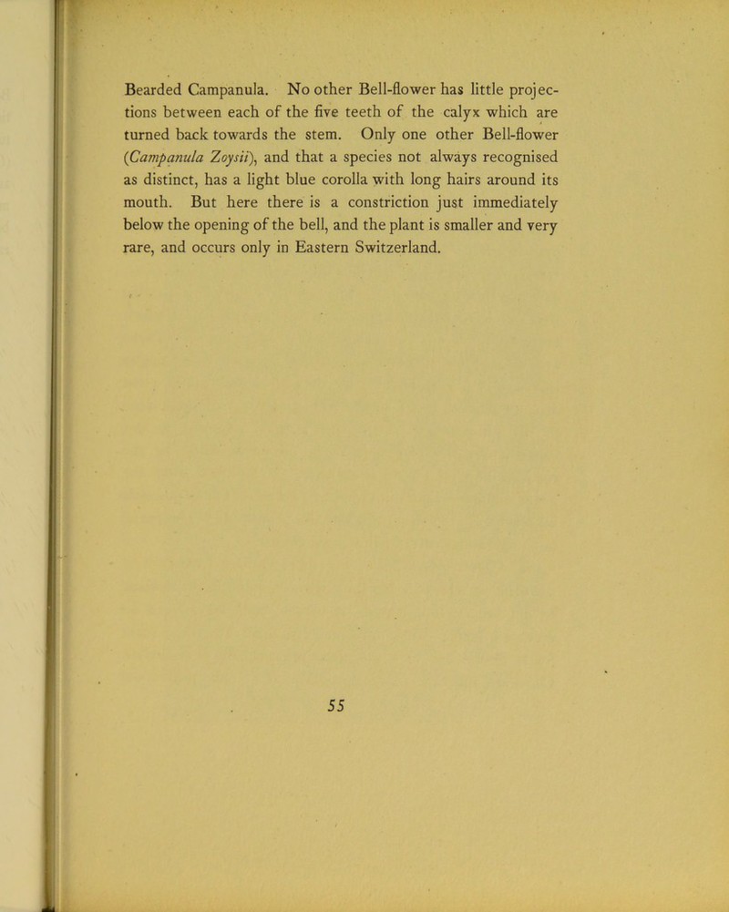Bearded Campanula. No other Bell-flower has little projec- tions between each of the five teeth of the calyx which are turned back towards the stem. Only one other Bell-flower (Campanula Zoysii), and that a species not always recognised as distinct, has a light blue corolla with long hairs around its mouth. But here there is a constriction just immediately below the opening of the bell, and the plant is smaller and very rare, and occurs only in Eastern Switzerland.