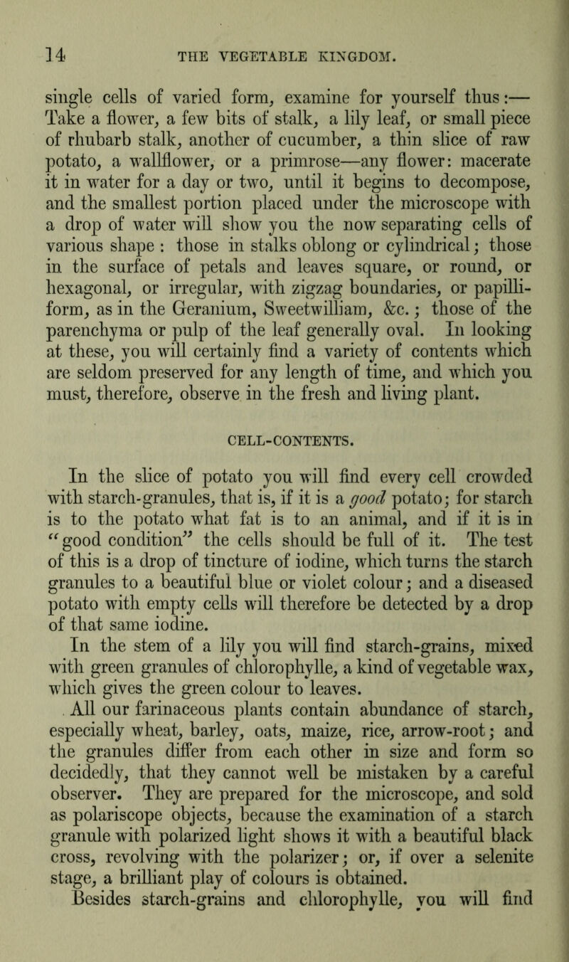 single cells of varied form, examine for yourself thus:— Take a flower, a few bits of stalk, a lily leaf, or small piece of rhubarb stalk, another of cucumber, a thin slice of raw potato, a wallflower, or a primrose—any flower: macerate it in water for a day or two, until it begins to decompose, and the smallest portion placed under the microscope with a drop of water will show you the now separating cells of various shape : those in stalks oblong or cylindrical; those in the surface of petals and leaves square, or round, or hexagonal, or irregular, with zigzag boundaries, or papilli- form, as in the Geranium, Sweetwilliam, &c.; those of the parenchyma or pulp of the leaf generally oval. In looking at these, you will certainly find a variety of contents which are seldom preserved for any length of time, and which you must, therefore, observe in the fresh and living plant. CELL-CONTENTS. In the slice of potato you will find every cell crowded with starch-granules, that is, if it is a good potato; for starch is to the potato what fat is to an animal, and if it is in “ good condition” the cells should be full of it. The test of this is a drop of tincture of iodine, which turns the starch granules to a beautiful blue or violet colour; and a diseased potato with empty cells will therefore be detected by a drop of that same iodine. In the stem of a lily you will find starch-grains, mixed with green granules of chlorophylle, a kind of vegetable wax, which gives the green colour to leaves. All our farinaceous plants contain abundance of starch, especially wheat, barley, oats, maize, rice, arrow-root; and the granules differ from each other in size and form so decidedly, that they cannot well be mistaken by a careful observer. They are prepared for the microscope, and sold as polariscope objects, because the examination of a starch granule with polarized light shows it with a beautiful black cross, revolving with the polarizer; or, if over a selenite stage, a brilliant play of colours is obtained. Besides starch-grains and chlorophylle, you will find