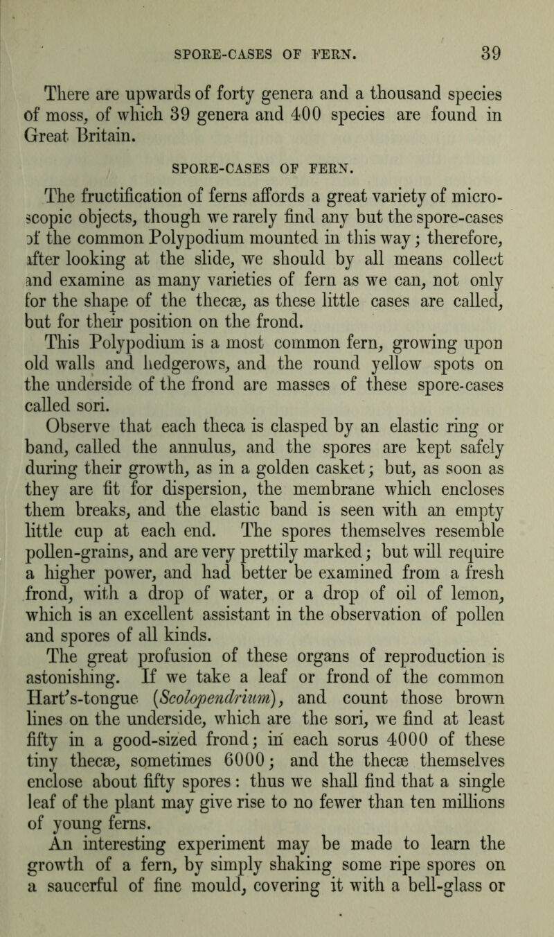 There are upwards of forty genera and a thousand species of moss, of which 39 genera and 400 species are found in Great Britain. SPORE-CASES OF FERN. The fructification of ferns affords a great variety of micro- scopic objects, though we rarely find any but the spore-cases d1* the common Polypodium mounted in this way; therefore, ifter looking at the slide, we should by all means collect and examine as many varieties of fern as we can, not only for the shape of the thecse, as these little cases are called, but for their position on the frond. This Polypodium is a most common fern, growing upon old walls and hedgerows, and the round yellow spots on the underside of the frond are masses of these spore-cases called sori. Observe that each theca is clasped by an elastic ring or band, called the annulus, and the spores are kept safely during their growth, as in a golden casket; but, as soon as they are fit for dispersion, the membrane which encloses them breaks, and the elastic band is seen with an empty little cup at each end. The spores themselves resemble pollen-grains, and are very prettily marked; but will require a higher power, and had better be examined from a fresh frond, with a drop of water, or a drop of oil of lemon, which is an excellent assistant in the observation of pollen and spores of all kinds. The great profusion of these organs of reproduction is astonishing. If we take a leaf or frond of the common HarPs-tongue {Scolojoencbiim), and count those brown lines on the underside, which are the sori, we find at least fifty in a good-sized frond; in each sorus 4000 of these tiny thecse, sometimes 6000; and the thecse themselves enclose about fifty spores: thus we shall find that a single leaf of the plant may give rise to no fewer than ten millions of young ferns. An interesting experiment may be made to learn the growth of a fern, by simply shaking some ripe spores on a saucerful of fine mould, covering it with a bell-glass or