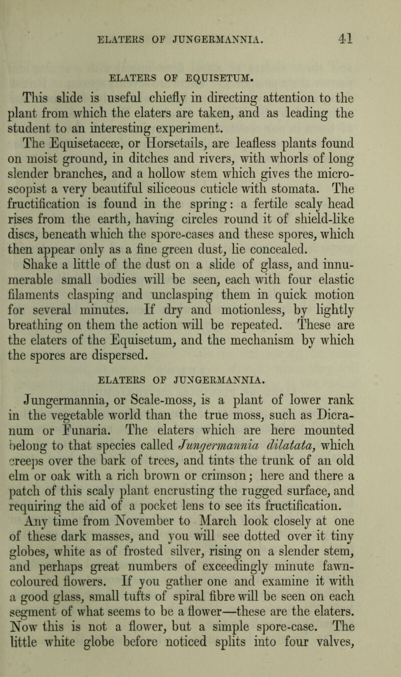 ELATERS OF EQUISETUM. This slide is useful chiefly in directing attention to the plant from which the elaters are taken, and as leading the student to an interesting experiment. The Equisetacese, or Horsetails, are leafless plants found on moist gronnd, in ditches and rivers, with whorls of long slender branches, and a hollow stem which gives the micro- scopist a very beautiful siliceous cuticle with stomata. The fructification is found in the spring: a fertile scaly head rises from the earth, having circles round it of shield-like discs, beneath which the spore-cases and these spores, which then appear only as a fine green dust, lie concealed. Shake a little of the dust on a slide of glass, and innu- merable small bodies will be seen, each with four elastic filaments clasping and unclasping them in quick motion for several minutes. If dry and motionless, by lightly breathing on them the action will be repeated. These are the elaters of the Equisetum, and the mechanism by which the spores are dispersed. ELATERS OF JUNGERMANNIA. Jungermannia, or Scale-moss, is a plant of lower rank in the vegetable world than the true moss, such as Dicra- num or Eunaria. The elaters which are here mounted belong to that species called Jungermannia dilatata, which creeps over the bark of trees, and tints the trunk of an old elm or oak with a rich brown or crimson; here and there a patch of this scaly plant encrusting the rugged surface, and requiring the aid of a pocket lens to see its fructification. Any time from November to March look closely at one of these dark masses, and you will see dotted over it tiny globes, white as of frosted silver, rising on a slender stem, and perhaps great numbers of exceedingly minute fawn- coloured flowers. If you gather one and examine it with a good glass, small tufts of spiral fibre will be seen on each segment of what seems to be a flower—these are the elaters. Now this is not a flower, but a simple spore-case. The little wdiite globe before noticed splits into four valves,