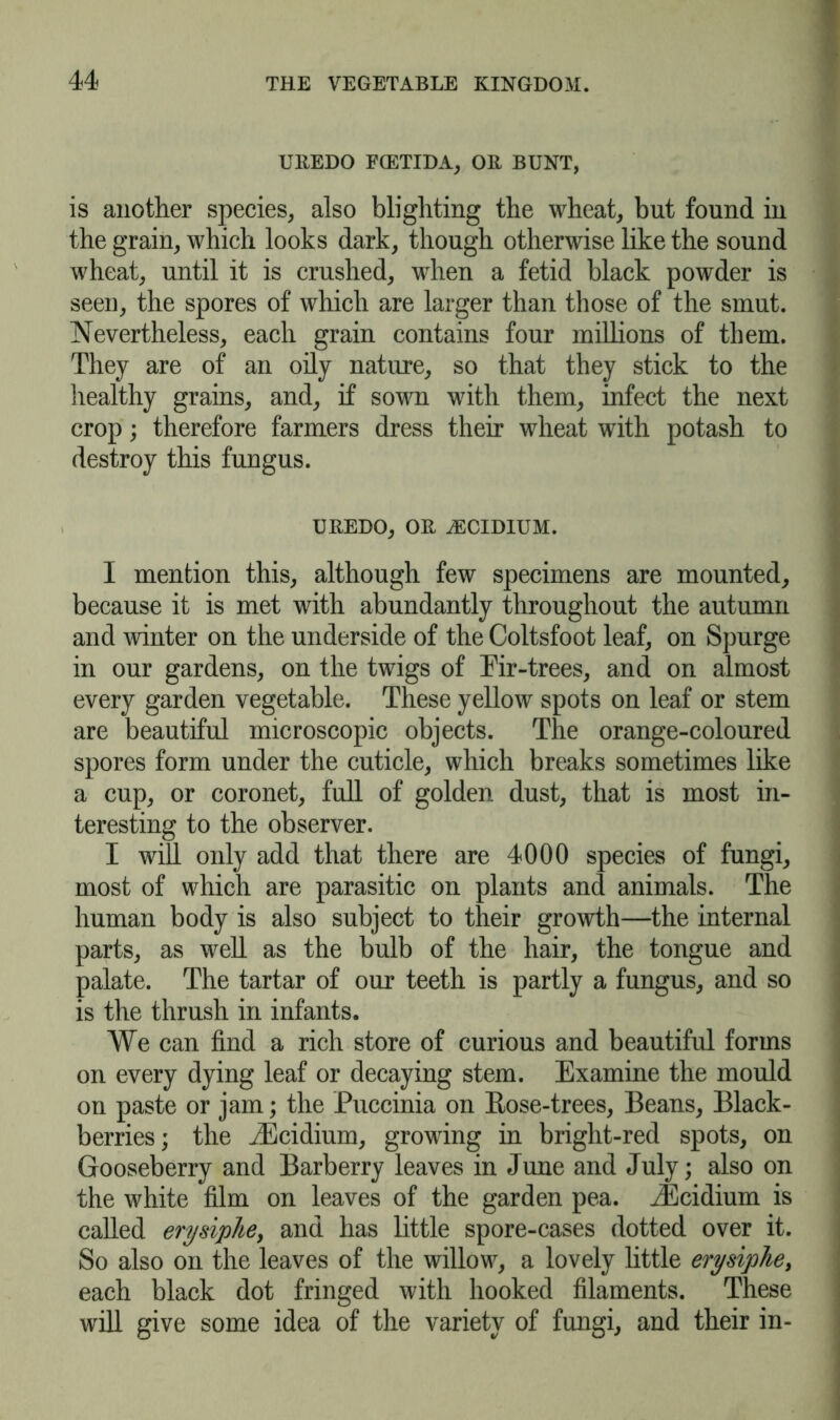 UREDO FCETIDA, OR BUNT, is another species, also blighting the wheat, but found in the grain, which looks dark, though otherwise like the sound wheat, until it is crushed, when a fetid black powder is seen, the spores of which are larger than those of the smut. Nevertheless, each grain contains four millions of them. They are of an oily nature, so that they stick to the healthy grains, and, if sown with them, infect the next crop; therefore farmers dress their wheat with potash to destroy this fungus. UREDO, OR ASCIDIUM. I mention this, although few specimens are mounted, because it is met with abundantly throughout the autumn and winter on the underside of the Coltsfoot leaf, on Spurge in our gardens, on the twigs of Fir-trees, and on almost every garden vegetable. These yellow spots on leaf or stem are beautiful microscopic objects. The orange-coloured spores form under the cuticle, which breaks sometimes like a cup, or coronet, full of golden dust, that is most in- teresting to the observer. I will only add that there are 4000 species of fungi, most of which are parasitic on plants and animals. The human body is also subject to their growth—the internal parts, as well as the bulb of the hair, the tongue and palate. The tartar of our teeth is partly a fungus, and so is the thrush in infants. We can find a rich store of curious and beautiful forms on every dying leaf or decaying stem. Examine the mould on paste or jam; the Puccinia on Rose-trees, Beans, Black- berries; the iEcidium, growing in bright-red spots, on Gooseberry and Barberry leaves in June and July; also on the white film on leaves of the garden pea. iEcidium is called erysipke, and has little spore-cases dotted over it. So also on the leaves of the willow, a lovely little erysiphe, each black dot fringed with hooked filaments. These will give some idea of the variety of fungi, and their in-