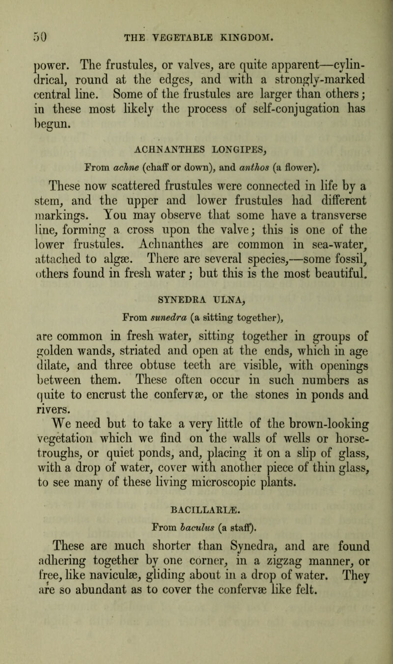 power. The frustules, or valves,, are quite apparent—cylin- drical, round at the edges, and with a strongly-marked central line. Some of the frustules are larger than others; in these most likely the process of self-conjugation has begun. ACHNANTHES LONGIPES, From achne (chaff or down), and anthos (a flower). These now scattered frustules were connected in life by a stem, and the upper and lower frustules had different markings. You may observe that some have a transverse line, forming a cross upon the valve; this is one of the lower frustules. Achnanthes are common in sea-water, attached to algse. There are several species,—some fossil, others found in fresh water; but this is the most beautiful. SYNEDRA ULNA, From sunedra (a sitting together), are common in fresh water, sitting together in groups of golden wands, striated and open at the ends, which in age dilate, and three obtuse teeth are visible, with openings between them. These often occur in such numbers as quite to encrust the confervse, or the stones in ponds and rivers. We need but to take a very little of the brown-looking vegetation which we find on the walls of wells or horse- troughs, or quiet ponds, and, placing it on a slip of glass, with a drop of water, cover with another piece of thin glass, to see many of these living microscopic plants. BACILLARLE. From baculus (a staff). These are much shorter than Synedra, and are found adhering together by one corner, in a zigzag manner, or free, like naviculse, gliding about in a drop of water. They are so abundant as to cover the confervse like felt.