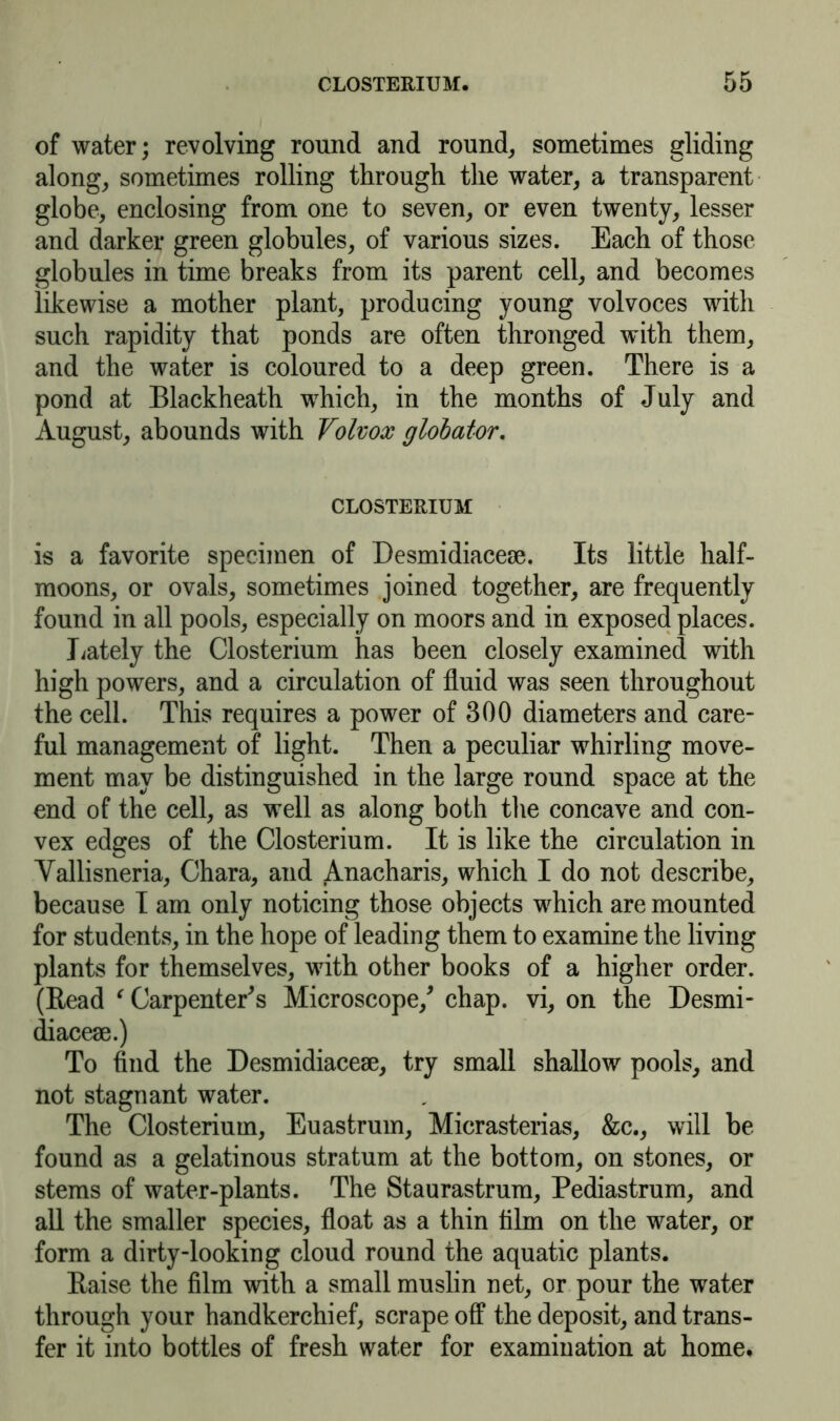 of water; revolving round and round, sometimes gliding along, sometimes rolling through the water, a transparent globe, enclosing from one to seven, or even twenty, lesser and darker green globules, of various sizes. Each of those globules in time breaks from its parent cell, and becomes likewise a mother plant, producing young volvoces with such rapidity that ponds are often thronged with them, and the water is coloured to a deep green. There is a pond at Blackheath which, in the months of July and August, abounds with Volvox globator. CLOSTERIUM is a favorite specimen of Desmidiacese. Its little half- moons, or ovals, sometimes joined together, are frequently found in all pools, especially on moors and in exposed places. Lately the Closterium has been closely examined with high powers, and a circulation of fluid was seen throughout the cell. This requires a power of 300 diameters and care- ful management of light. Then a peculiar whirling move- ment may be distinguished in the large round space at the end of the cell, as well as along both the concave and con- vex edges of the Closterium. It is like the circulation in Yallisneria, Chara, and Anacharis, which I do not describe, because I am only noticing those objects which are mounted for students, in the hope of leading them to examine the living plants for themselves, with other books of a higher order. (Read c Carpenter's Microscope/ chap, vi, on the Desmi- diacese.) To find the Desmidiacese, try small shallow pools, and not stagnant water. The Closterium, Euastrum, Micrasterias, &c., will be found as a gelatinous stratum at the bottom, on stones, or stems of water-plants. The Staurastrum, Pediastrum, and all the smaller species, float as a thin film on the water, or form a dirty-looking cloud round the aquatic plants. Raise the film with a small muslin net, or pour the water through your handkerchief, scrape off the deposit, and trans- fer it into bottles of fresh water for examination at home.