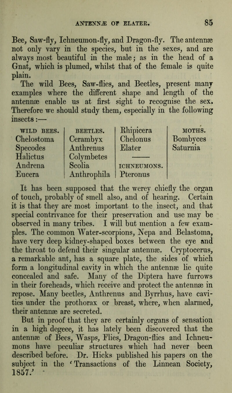 Bee, Saw-fly, Ichneumon-fly, and Dragon-fly. The antennae not only vary in the species, but in the sexes, and are always most beautiful in the male; as in the head of a Gnat, which is plumed, whilst that of the female is quite plain. The wild Bees, Saw-flies, and Beetles, present many examples where the different shape and length of the antennae enable us at first sight to recognise the sex. Therefore we should study them, especially in the following insects:— WILD BEES. BEETLES. Rhipicera MOTHS. Chelostoma Cerambyx Chelonus Bombyces Specodes Anthrenus Elater Saturnia Halictus Colymbetes Andrena Scolia ICHNEUMONS. Eucera Anthrophila Pteronus It has been supposed that the werey chiefly the organ of touch, probably of smell also, and of hearing. Certain it is that they are most important to the insect, and that special contrivance for their preservation and use may be observed in many tribes. I will but mention a few exam- ples. The common Water-scorpions, Nepa and Belastoma, have very deep kidney-shaped boxes between the eye and the throat to defend their singular antennae. Cryptocerus, a remarkable ant, has a square plate, the sides of which form a longitudinal cavity in which the antennae lie quite concealed and safe. Many of the Diptera have furrows in their foreheads, which receive and protect the antennae in repose. Many beetles, Anthrenus and Byrrhus, have cavi- ties under the prothorax or breast, where, when alarmed, their antennae are secreted. But in proof that they are certainly organs of sensation in a high degeee, it has lately been discovered that the antennae of Bees, Wasps, Mies, Dragon-flies and Ichneu- mons have peculiar structures which had never been described before. Dr. Hicks published his papers on the subject in the ‘ Transactions of the Linnean Society, 1857/ •