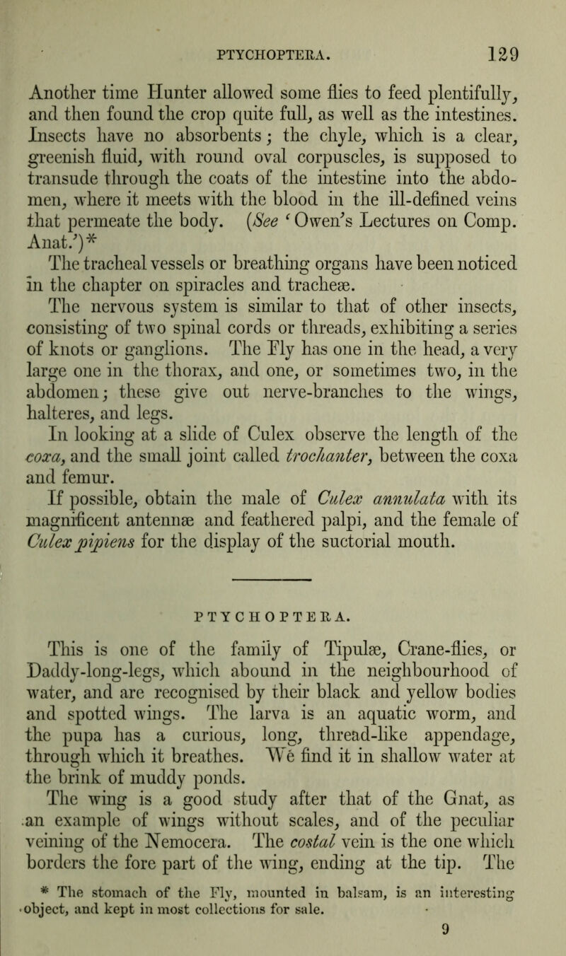 Another time Hunter allowed some flies to feed plentifully, and then found the crop quite full, as well as the intestines. Insects have no absorbents; the chyle, which is a clear, greenish fluid, with round oval corpuscles, is supposed to transude through the coats of the intestine into the abdo- men, where it meets with the blood in the ill-defined veins that permeate the body. (See ‘ Owen's Lectures on Comp. Anat/)* The tracheal vessels or breathing organs have been noticed in the chapter on spiracles and tracheae. The nervous system is similar to that of other insects, consisting of two spinal cords or threads, exhibiting a series of knots or ganglions. The Tly has one in the head, a very large one in the thorax, and one, or sometimes two, in the abdomen; these give out nerve-branches to the wings, halteres, and legs. In looking at a slide of Culex observe the length of the coxa, and the small joint called trochanter, between the coxa and femur. If possible, obtain the male of Culex annulata with its magnificent antennae and feathered palpi, and the female of Culex joi/piens for the display of the suctorial mouth. PTY CHOPTERA. This is one of the family of Tipulae, Crane-flies, or Daddy-long-legs, which abound in the neighbourhood of water, and are recognised by their black and yellow bodies and spotted wings. The larva is an aquatic worm, and the pupa has a curious, long, thread-like appendage, through which it breathes. We find it in shallow water at the brink of muddy ponds. The wing is a good study after that of the Gnat, as .an example of wings without scales, and of the peculiar veining of the Nemocera. The costal vein is the one which borders the fore part of the wing, ending at the tip. The * The stomach of the Fly, mounted in balsam, is an interesting •object, and kept in most collections for sale. 9