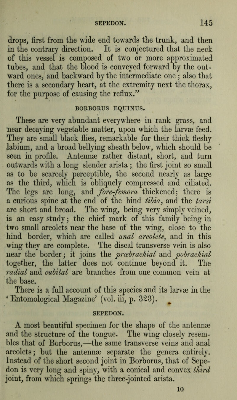 drops, first from the wide end towards the trunk, and then in the contrary direction. It is conjectured that the neck of this vessel is composed of two or more approximated tubes, and that the blood is conveyed forward by the out- ward ones, and backward by the intermediate one; also that there is a secondary heart, at the extremity next the thorax, for the purpose of causing the reflux. BOBBOEUS EQUINUS. These are very abundant everywhere in rank grass, and near decaying vegetable matter, upon which the larvae feed. They are small black flies, remarkable for their thick fleshy labium, and a broad bellying sheath below, which should be seen in profile. Antennae rather distant, short, and turn outwards with a long slender arista; the first joint so small as to be scarcely perceptible, the second nearly as large as the third, which is obliquely compressed and ciliated. The legs are long, and fore-femora thickened; there is a curious spine at the end of the hind tibia, and the tarsi are short and broad. The wing, being very simply veined, is an easy study; the chief mark of this family being in two small areolets near the base of the wing, close to the hind border, which are called anal areolets, and in this wing they are complete. The discal transverse vein is also near the border; it joins the prcebrachial and pobrachial together, the latter does not continue beyond it. The radial and cubital are branches from one common vein at the base. There is a full account of this species and its larvae in the € Entomological Magazine' (vol. iii, p. 323). SEPEDON. A most beautiful specimen for the shape of the antennae and the structure of the tongue. The wing closely resem- bles that of Borborus,—the same transverse veins and anal areolets; but the antennae separate the genera entirely. Instead of the short second joint in Borborus, that of Sepe- don is very long and spiny, with a conical and convex third joint, from wdiich springs the three-jointed arista. 10