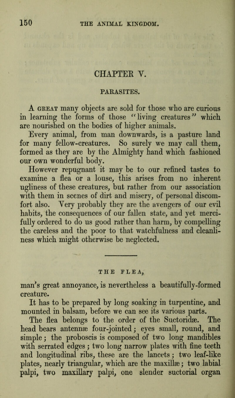 CHAPTER Y. PARASITES. A great many objects are sold for those who are curious in learning the forms of those “living creatures” which are nourished on the bodies of higher animals. Every animal, from man downwards, is a pasture land for many fellow-creatures. So surely we may call them, formed as they are by the Almighty hand which fashioned our own wonderful body. However repugnant it may be to our refined tastes to examine a flea or a louse, this arises from no inherent ugliness of these creatures, but rather from our association with them in scenes of dirt and misery, of personal discom- fort also. Yery probably they are the avengers of our evil habits, the consequences of our fallen state, and yet merci- fully ordered to do us good rather than harm, by compelling the careless and the poor to that watchfuhiess and cleanli- ness which might otherwise be neglected. THE PLEA, man's great annoyance, is nevertheless a beautifully-formed creature. It has to be prepared by long soaking in turpentine, and mounted in balsam, before we can see its various parts. The flea belongs to the order of the Suctoridae. The head bears antennae four-jointed; eyes small, round, and simple; the proboscis is composed of two long mandibles with serrated edges; two long narrow plates with fine teeth and longitudinal ribs, these are the lancets; two leaf-like plates, nearly triangular, which are the maxillae; two labial palpi, two maxillary palpi, one slender suctorial organ