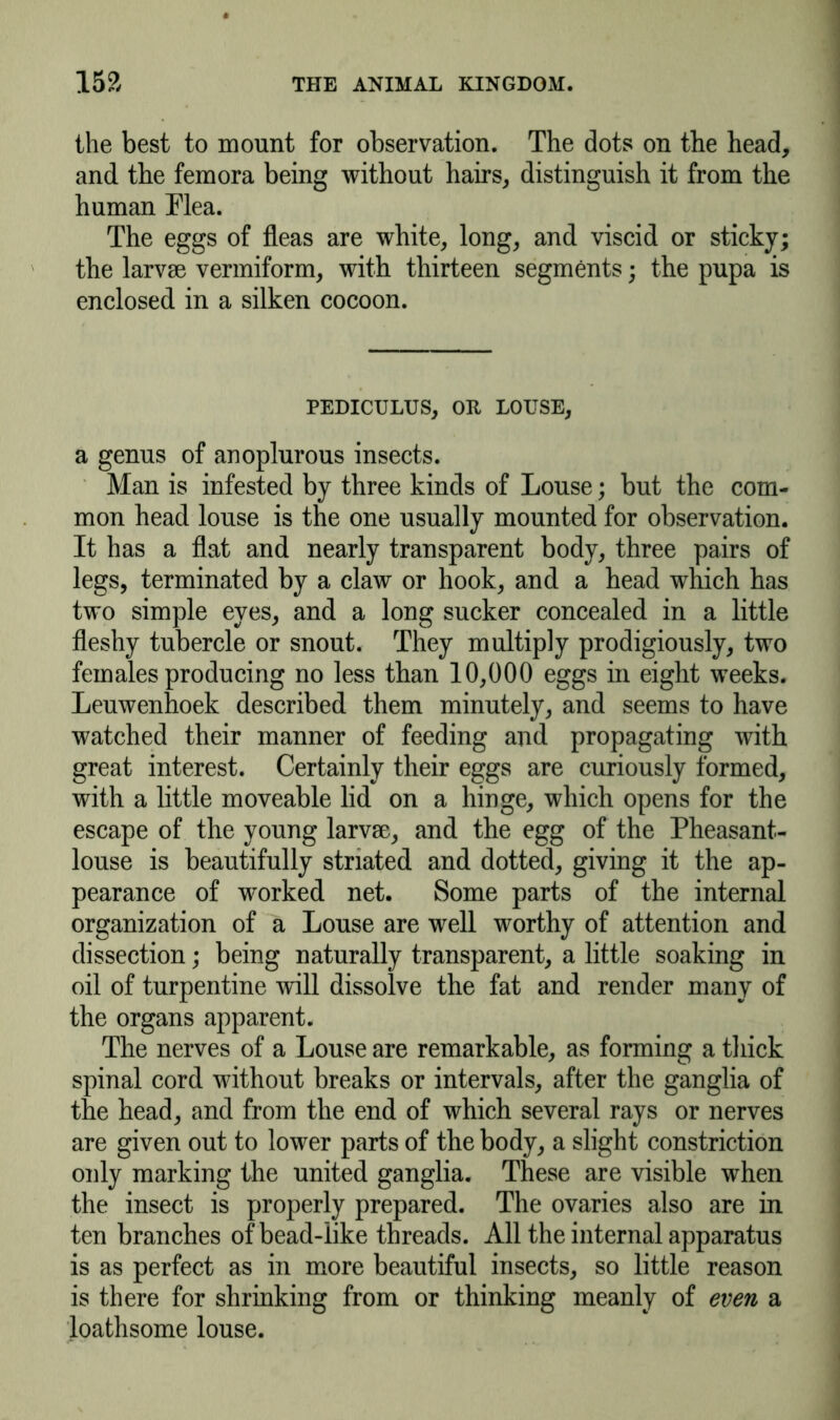 the best to mount for observation. The dots on the head, and the femora being without hairs, distinguish it from the human Plea. The eggs of fleas are white, long, and viscid or sticky; the larvse vermiform, with thirteen segments; the pupa is enclosed in a silken cocoon. PEDICULUS, OR LOUSE, a genus of anoplurous insects. Man is infested by three kinds of Louse; but the com- mon head louse is the one usually mounted for observation. It has a flat and nearly transparent body, three pairs of legs, terminated by a claw or hook, and a head which has two simple eyes, and a long sucker concealed in a little fleshy tubercle or snout. They multiply prodigiously, two females producing no less than 10,000 eggs in eight weeks. Leuwenhoek described them minutely, and seems to have watched their manner of feeding and propagating with great interest. Certainly their eggs are curiously formed, with a little moveable lid on a hinge, which opens for the escape of the young larvae, and the egg of the Pheasant- louse is beautifully striated and dotted, giving it the ap- pearance of worked net. Some parts of the internal organization of a Louse are well worthy of attention and dissection; being naturally transparent, a little soaking in oil of turpentine will dissolve the fat and render many of the organs apparent. The nerves of a Louse are remarkable, as forming a thick spinal cord without breaks or intervals, after the ganglia of the head, and from the end of which several rays or nerves are given out to lower parts of the body, a slight constriction only marking the united ganglia. These are visible when the insect is properly prepared. The ovaries also are in ten branches of bead-like threads. All the internal apparatus is as perfect as in more beautiful insects, so little reason is there for shrinking from or thinking meanly of even a loathsome louse.
