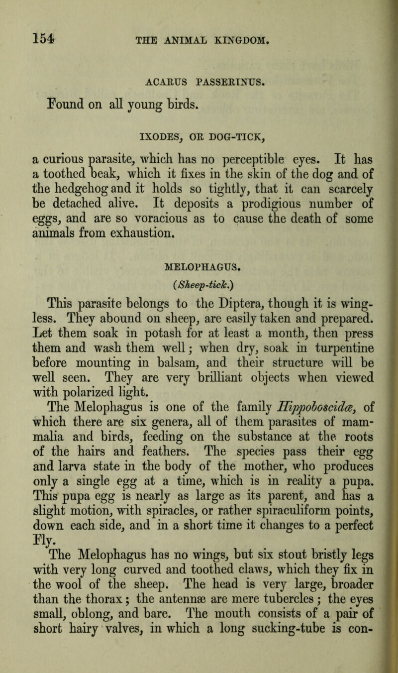154? ACAKUS PASSEKINUS. Found on all young birds. IXODES, OK DOG-TICK, a curious parasite, which has no perceptible eyes. It has a toothed beak, which it fixes in the skin of the dog and of the hedgehog and it holds so tightly, that it can scarcely be detached alive. It deposits a prodigious number of eggs, and are so voracious as to cause the death of some animals from exhaustion. MELOPHAGUS. (Sheep-tick,) This parasite belongs to the Diptera, though it is wing- less. They abound on sheep, are easily taken and prepared. Let them soak in potash for at least a month, then press them and wash them well; when dry, soak in turpentine before mounting in balsam, and their structure will be well seen. They are very brilliant objects when viewed with polarized light. The Melophagus is one of the family Hipjooboscidce, of which there are six genera, all of them parasites of mam- malia and birds, feeding on the substance at the roots of the hairs and feathers. The species pass their egg and larva state in the body of the mother, who produces only a single egg at a time, which is in reality a pupa. This pupa egg is nearly as large as its parent, and has a slight motion, with spiracles, or rather spiraculiform points, down each side, and in a short time it changes to a perfect Fly. The Melophagus has no wings, but six stout bristly legs with very long curved and toothed claws, which they fix in the wool of the sheep. The head is very large, broader than the thorax; the antennae are mere tubercles; the eyes small, oblong, and bare. The mouth consists of a pair of short hairy valves, in which a long sucking-tube is con-