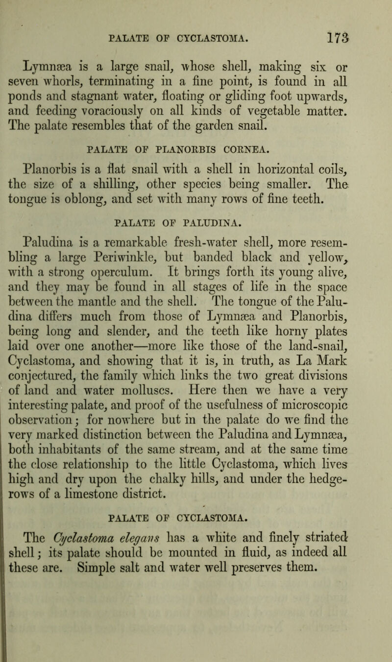 Lymnsea is a large snail, whose shell, making six or seven whorls, terminating in a fine point, is found in all ponds and stagnant water, floating or gliding foot upwards, and feeding voraciously on all kinds of vegetable matter. The palate resembles that of the garden snail. PALATE OF PLANORBIS CORNEA. Planorbis is a flat snail with a shell in horizontal coils, the size of a shilling, other species being smaller. The tongue is oblong, and set with many rows of fine teeth. PALATE OF PALUDINA. Paludina is a remarkable fresh-water shell, more resem- bling a large Periwinkle, but banded black and yellow, with a strong operculum. It brings forth its young alive, and they may be found in all stages of life in the space between the mantle and the shell. The tongue of the Palu- dina differs much from those of Lymnaea and Planorbis, being long and slender, and the teeth like horny plates laid over one another—more like those of the land-snail, Cyclastoma, and showing that it is, in truth, as La Mark conjectured, the family which links the two great divisions of land and water molluscs. Here then we have a very interesting palate, and proof of the usefulness of microscopic observation; for nowhere but in the palate do we find the very marked distinction between the Paludina and Lymnsea, both inhabitants of the same stream, and at the same time the close relationship to the little Cyclastoma, which lives high and dry upon the chalky hills, and under the hedge- rows of a limestone district. PALATE OF CYCLASTOMA. The Cyclastoma elegavs has a white and finely striated shell; its palate should be mounted in fluid, as indeed all | these are. Simple salt and water well preserves them.