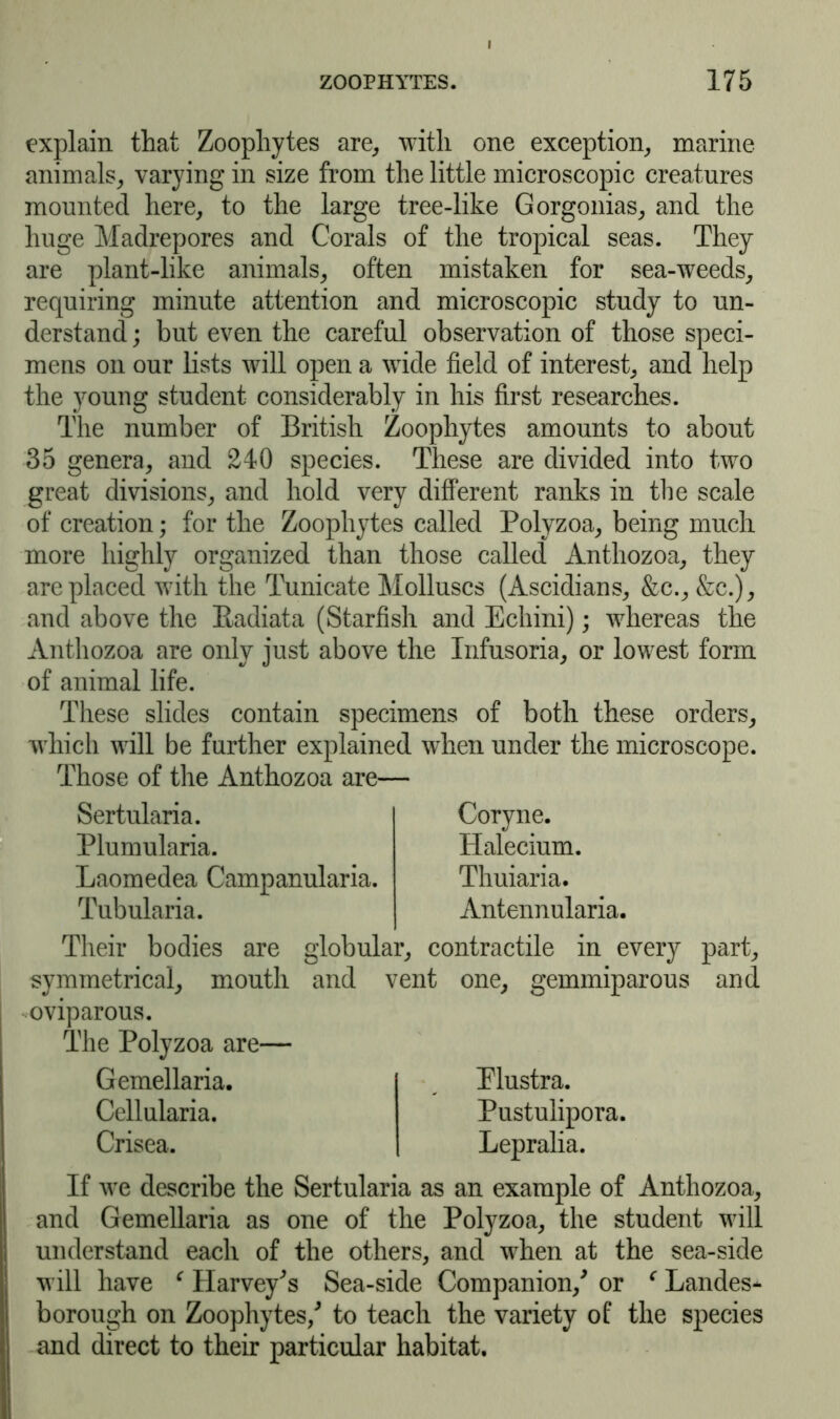 explain that Zoophytes are, with one exception, marine animals, varying in size from the little microscopic creatures mounted here, to the large tree-like Gorgonias, and the huge Madrepores and Corals of the tropical seas. They are plant-like animals, often mistaken for sea-weeds, requiring minute attention and microscopic study to un- derstand ; but even the careful observation of those speci- mens on our lists will open a wide field of interest, and help the young student considerably in his first researches. The number of British Zoophytes amounts to about 35 genera, and 240 species. These are divided into two great divisions, and hold very different ranks in the scale of creation; for the Zoophytes called Polyzoa, being much more highly organized than those called Anthozoa, they are placed with the Tunicate Molluscs (Ascidians, &c., &c.), and above the Radiata (Starfish and Echini); whereas the Anthozoa are only just above the Infusoria, or lowest form of animal life. These slides contain specimens of both these orders, which will be further explained when under the microscope. Those of the Anthozoa are— hSertularia. Plumularia. Laomedea Campanularia. Tubularia. Coryne. Halecium. Thuiaria. Antennularia. Their bodies are globular, contractile in every part, symmetrical, mouth and vent one, gemmiparous and oviparous. The Polyzoa are— Gemellaria. Elustra. Cellularia. Pustulipora. Crisea. Lepralia. If we describe the Sertularia as an example of Anthozoa, and Gemellaria as one of the Polyzoa, the student will understand each of the others, and when at the sea-side will have c Harvey^s Sea-side Companion/ or c Landes- borough on Zoophytes/ to teach the variety of the species and direct to their particular habitat.