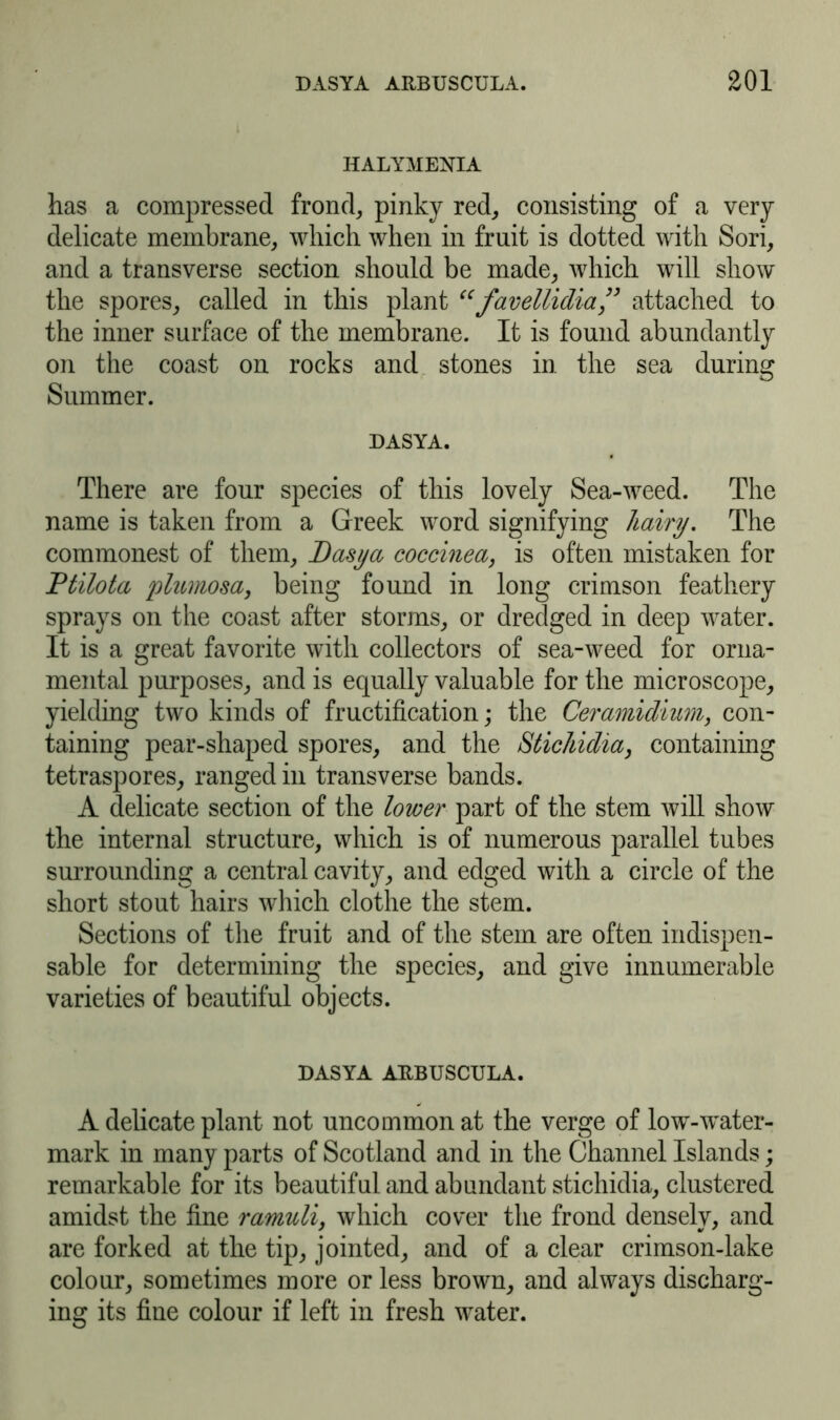 HALYMENIA has a compressed frond, pinky red, consisting of a very delicate membrane, which when in fruit is dotted with Sori, and a transverse section should be made, which will show the spores, called in this plant “favellidia” attached to the inner surface of the membrane. It is found abundantly on the coast on rocks and stones in the sea during Summer. DASYA. There are four species of this lovely Sea-weed. The name is taken from a Greek word signifying hairy. The commonest of them, Dasya coccinea, is often mistaken for Ptilota plumosa, being found in long crimson feathery sprays on the coast after storms, or dredged in deep water. It is a great favorite with collectors of sea-weed for orna- mental purposes, and is equally valuable for the microscope, yielding two kinds of fructification; the Ceramidhim, con- taining pear-shaped spores, and the Stichidia, containing tetraspores, ranged in transverse bands. A delicate section of the lower part of the stem will show the internal structure, which is of numerous parallel tubes surrounding a central cavity, and edged with a circle of the short stout hairs which clothe the stem. Sections of the fruit and of the stem are often indispen- sable for determining the species, and give innumerable varieties of beautiful objects. DASYA ARBUSCULA. A delicate plant not uncommon at the verge of low-water- mark in many parts of Scotland and in the Channel Islands; remarkable for its beautiful and abundant stichidia, clustered amidst the fine ramuli, which cover the frond densely, and are forked at the tip, jointed, and of a clear crimson-lake colour, sometimes more or less brown, and always discharg- ing its fine colour if left in fresh water.