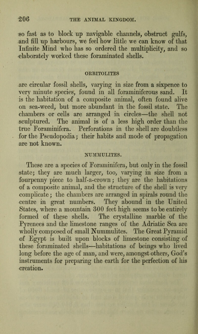 so fast as to block up navigable channels, obstruct gulfs, and fill up harbours, we feel how little we can know of that Infinite Mind who has so ordered the multiplicity, and so elaborately worked these foraminated shells. OKBITOLITES are circular fossil shells, varying in size from a sixpence to very minute species, found in all foraminiferous sand. It is the habitation of a composite animal, often found alive on sea-weed, but more abundant in the fossil state. The chambers or cells are arranged in circles—the shell not sculptured. The animal is of a less high order than the true Eoraminifera. Perforations in the shell are doubtless for the Pseudopodia; their habits and mode of propagation are not known. NUMMULITES. These are a species of Poraminifera, but only in the fossil state; they are much larger, too, varying in size from a fourpenny piece to half-a-crown; they are the habitations of a composite animal, and the structure of the shell is very complicate; the chambers are arranged in spirals round the centre in great numbers. They abound in the United States, where a mountain 300 feet high seems to be entirely formed of these shells. The crystalline marble of the Pyrenees and the limestone ranges of the Adriatic Sea are wholly composed of small Nummulites. The Great Pyramid of Egypt is built upon blocks of limestone consisting of these foraminated shells—habitations of beings who lived long before the age of man, and were, amongst others, God^s instruments for preparing the earth for the perfection of his creation.