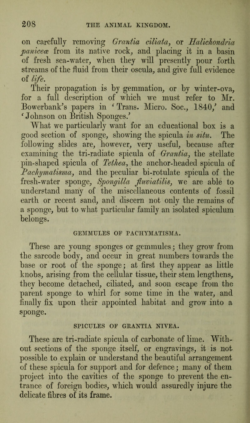 on carefully removing Grantia ciliata, or Halichondria joanicece from its native rock, and placing it in a basin of fresh sea-water, when they will presently pour forth streams of the fluid from their oscula, and give full evidence of life. Their propagation is by gemmation, or by winter-ova, for a full description of which we must refer to Mr. Bowerbanfs papers in ‘ Trans. Micro. Soc., 1840/ and ‘ Johnson on British Sponges/ What we particularly want for an educational box is a good section of sponge, showing the spicula in situ. The following slides are, however, very useful, because after examining the tri-radiate spicula of Grantia, the stellate pin-shaped spicula of Tethea, the anchor-headed spicula of Pac/iymatisma, and the peculiar bi-rotulate spicula of the fresh-water sponge, Sponyilla fluviatilis, we are able to understand many of the miscellaneous contents of fossil earth or recent sand, and discern not only the remains of a sponge, but to what particular family an isolated spiculum belongs. GEMMULES OF PACHYMATISMA. These are young sponges or gemmules; they grow from the sarcode body, and occur in great numbers towards the base or root of the sponge; at first they appear as little knobs, arising from the cellular tissue, their stem lengthens, they become detached, ciliated, and soon escape from the parent sponge to whirl for some time in the water, and finally fix upon their appointed habitat and grow into a sponge. SPICULES OF GRANTIA NIYEA. These are tri-radiate spicula of carbonate of lime. With- out sections of the sponge itself, or engravings, it is not possible to explain or understand the beautiful arrangement of these spicula for support and for defence; many of them project into the cavities of the sponge to prevent the en- trance of foreign bodies, which would assuredly injure the delicate fibres of its frame.