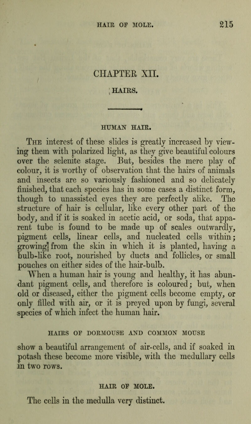 CHAPTER XII. ; HAIRS. HUMAN HAIR. The interest of these slides is greatly increased by view- ing them with polarized light, as they give beautiful colours over the selenite stage. But, besides the mere play of colour, it is worthy of observation that the hairs of animals and insects are so variously fashioned and so delicately finished, that each species has in some cases a distinct form, though to unassisted eyes they are perfectly alike. The structure of hair is cellular, like every other part of the body, and if it is soaked in acetic acid, or soda, that appa- rent tube is found to be made up of scales outwardly, pigment cells, linear cells, and nucleated cells within; growing] from the skin in which it is planted, having a bulb-like root, nourished by ducts and follicles, or small pouches on either sides of the hair-bulb. When a human hair is young and healthy, it has abun- dant pigment cells, and therefore is coloured; but, when old or diseased, either the pigment cells become empty, or only filled with air, or it is preyed upon by fungi, several species of which infect the human hair. hairs of dormouse and common mouse show a beautiful arrangement of air-cells, and if soaked in potash these become more visible, with the medullary cells in two rows. hair of mole. The cells in the medulla very distinct.