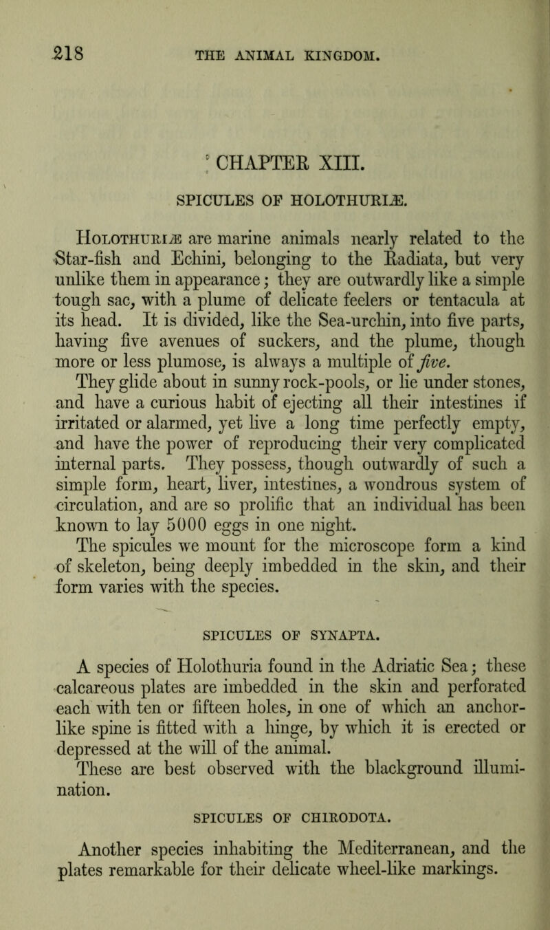 : CHAPTER XIII. SPICULES OF HOLOTHURLE. Holothuiuye are marine animals nearly related to the Star-fish and Echini, belonging to the Radiata, but very unlike them in appearance; they are outwardly like a simple tough sac, with a plume of delicate feelers or tentacula at its head. It is divided, like the Sea-urchin, into five parts, having five avenues of suckers, and the plume, though more or less plumose, is always a multiple of five. They glide about in sunny rock-pools, or lie under stones, and have a curious habit of ejecting all their intestines if irritated or alarmed, yet live a long time perfectly empty, and have the power of reproducing their very complicated internal parts. They possess, though outwardly of such a simple form, heart, liver, intestines, a wondrous system of circulation, and are so prolific that an individual has been known to lay 5000 eggs in one night. The spicules we mount for the microscope form a kind of skeleton, being deeply imbedded in the skin, and their form varies with the species. SPICULES OF SYNAPTA. A species of Holothuria found in the Adriatic Sea; these calcareous plates are imbedded in the skin and perforated each with ten or fifteen holes, in one of which an anchor- like spine is fitted with a hinge, by which it is erected or depressed at the will of the animal. These are best observed with the blackground illumi- nation. SPICULES OF CH1KODOTA. Another species inhabiting the Mediterranean, and the plates remarkable for their delicate wheel-like markings.